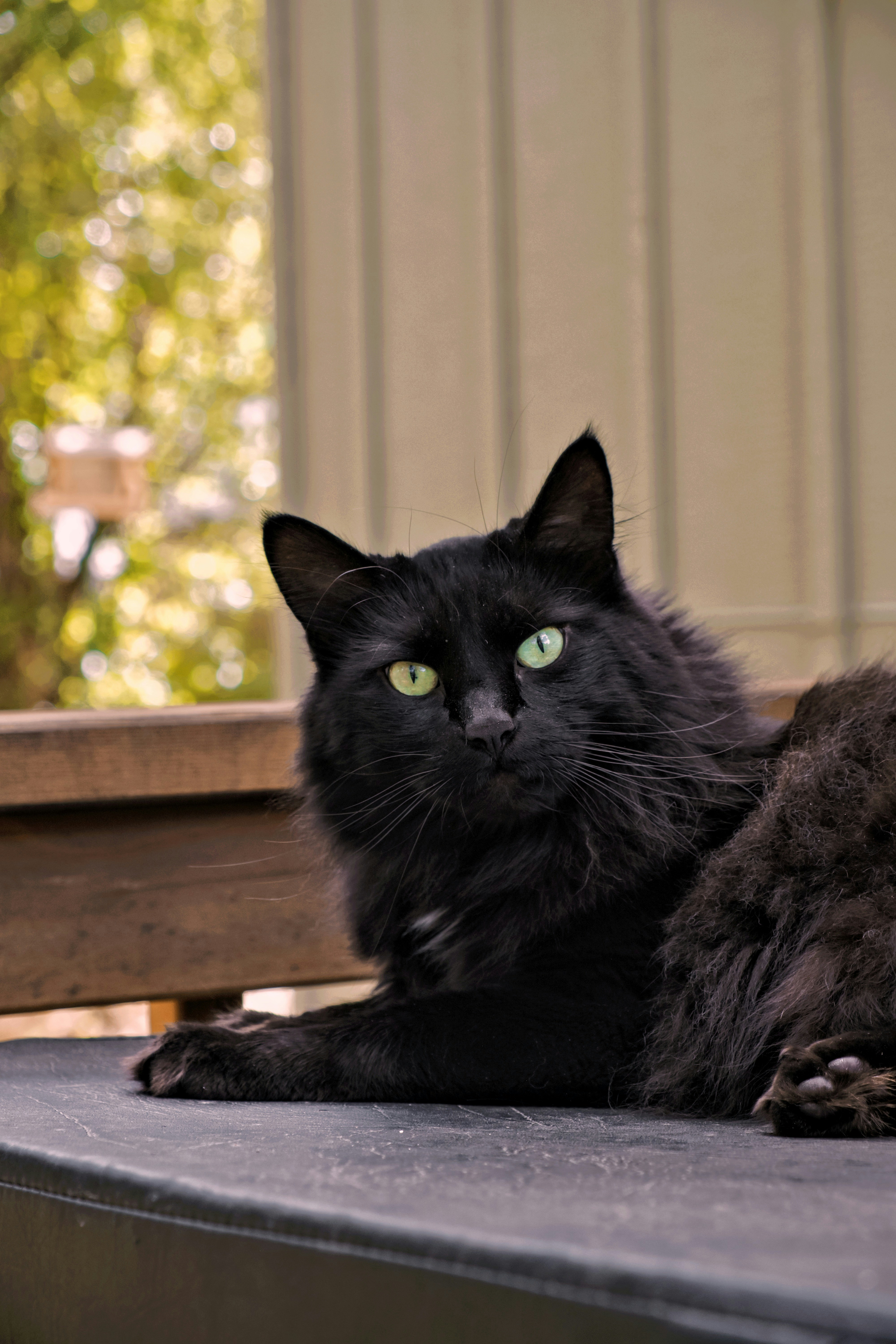 Photo by nikoflicksphotography