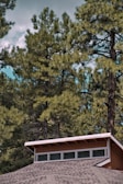 A wide shot capturing the house surrounded by tall trees under a cloudy sky.