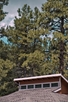 A modern house under construction surrounded by trees and clear blue skies.