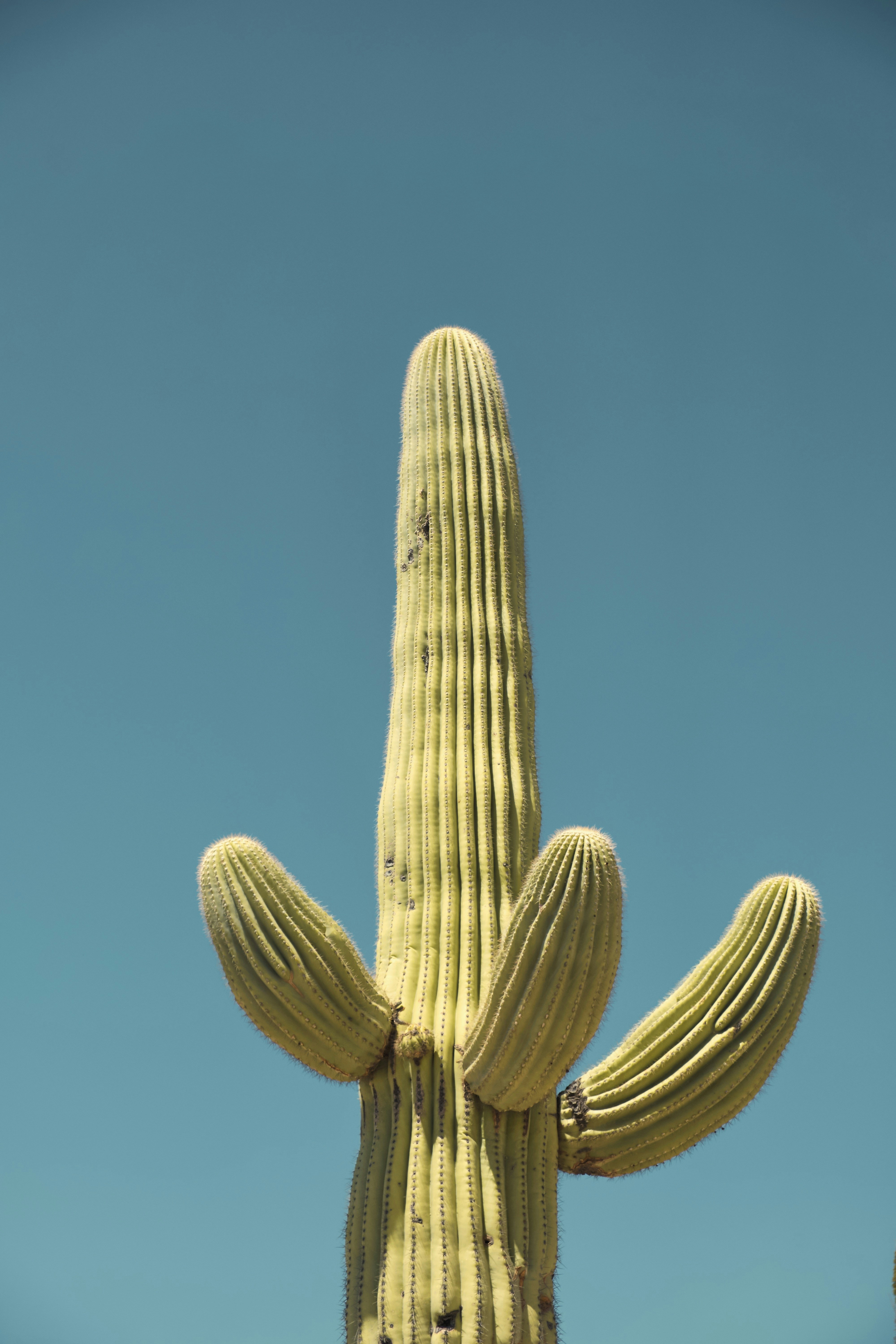 Photo by nikoflicksphotography