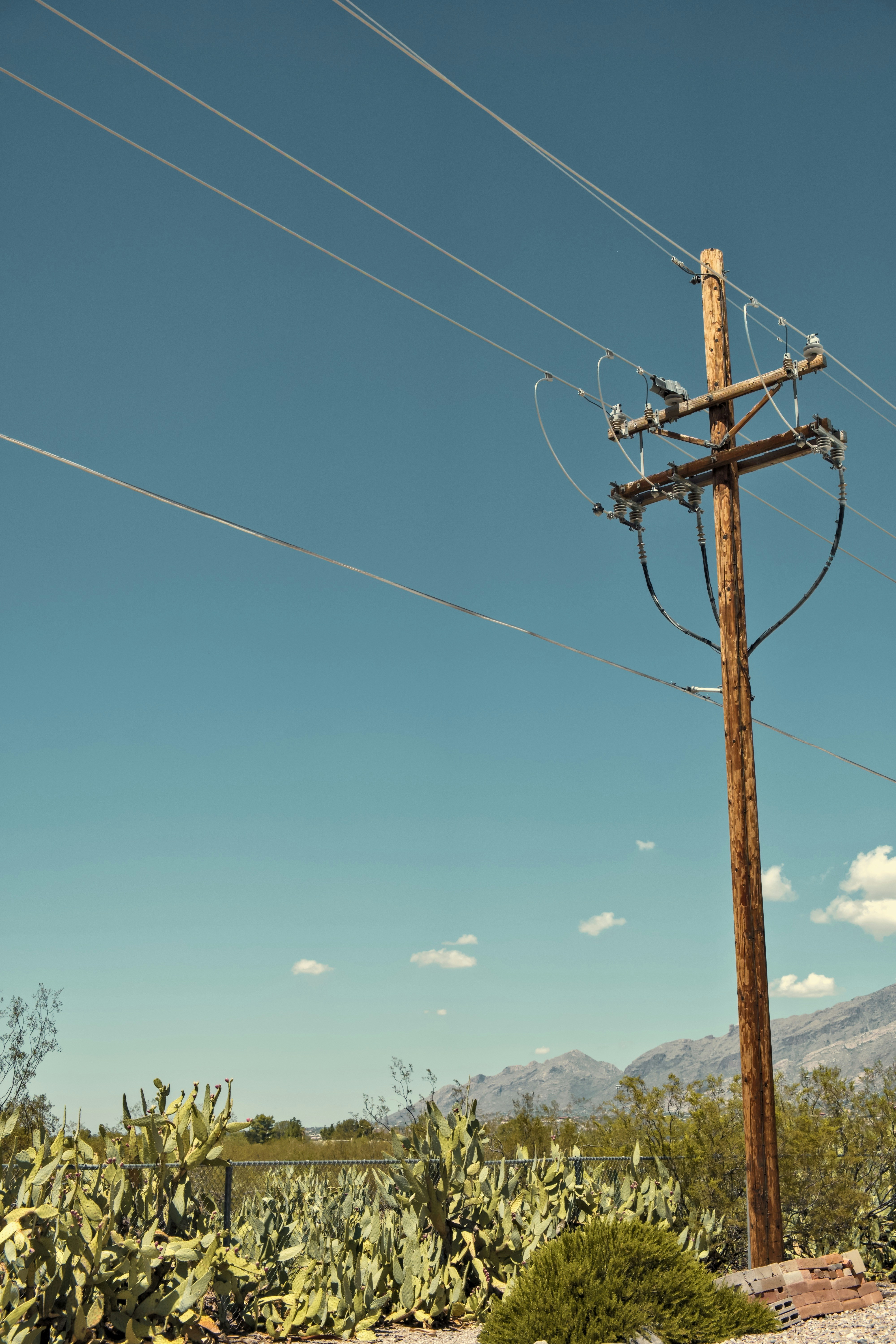 Photo by nikoflicksphotography