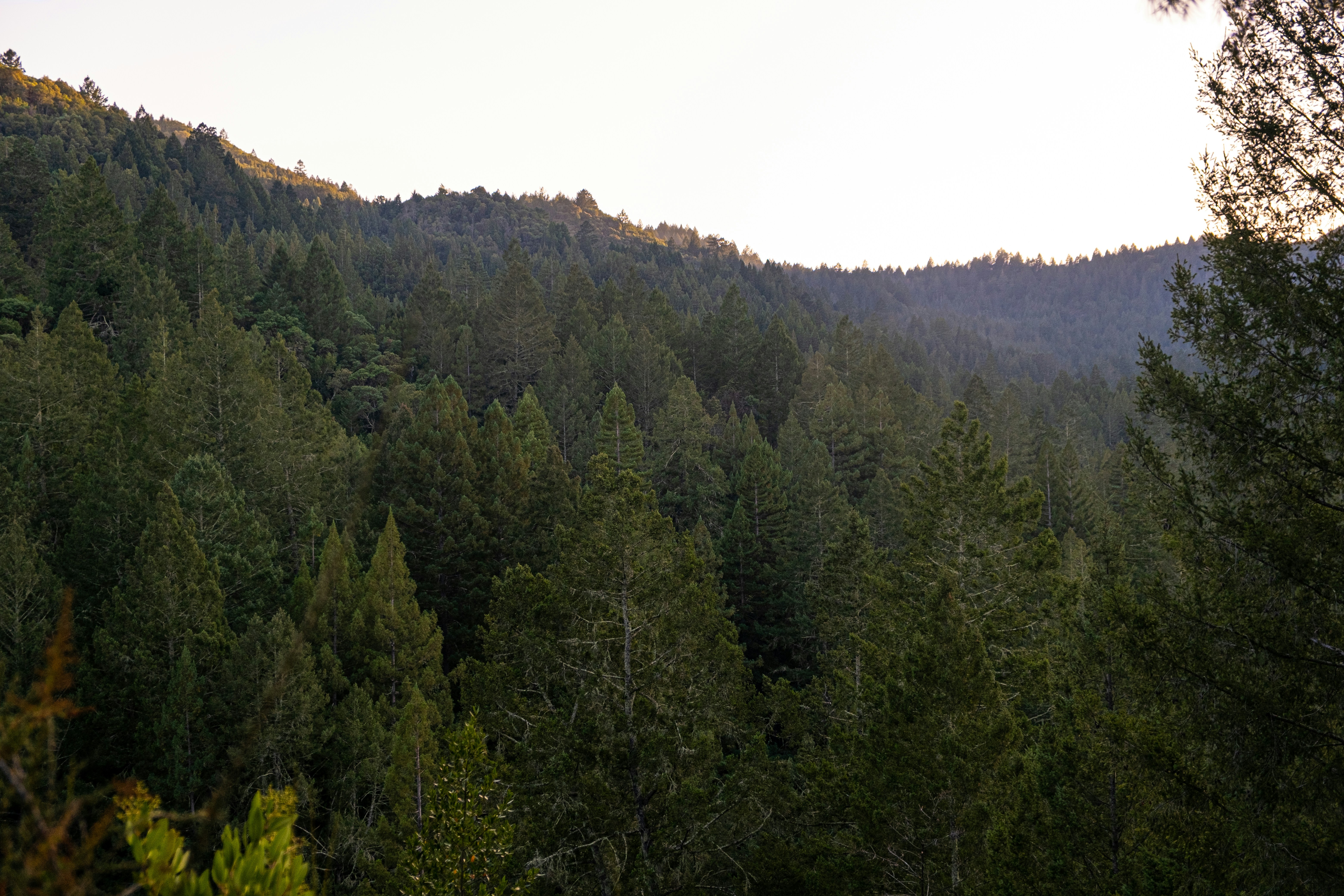 Photo by mo_design_3d