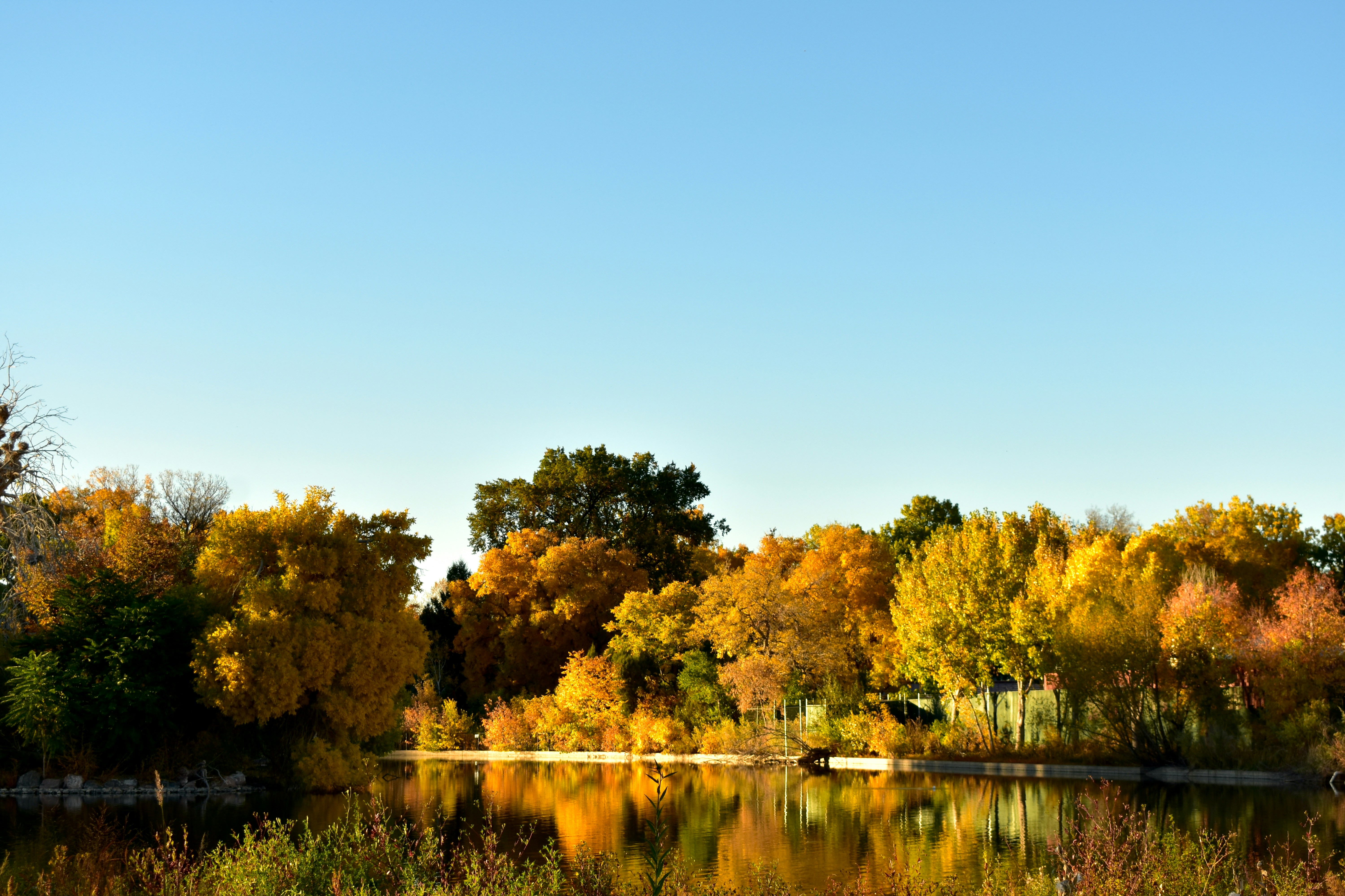 🍁 Denver, CO – Fall Adventures in the Rockies