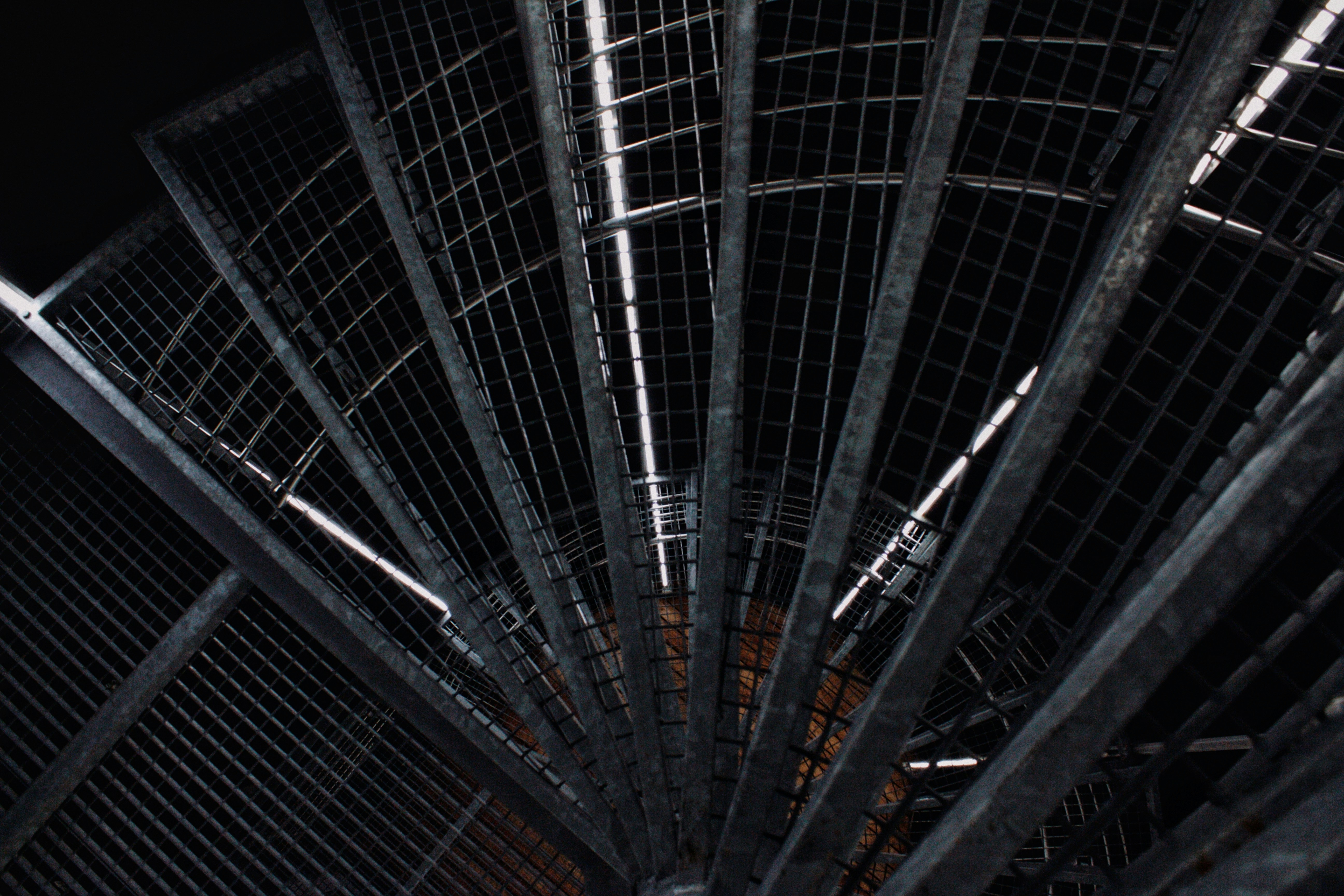 Photo by maximyuryshev