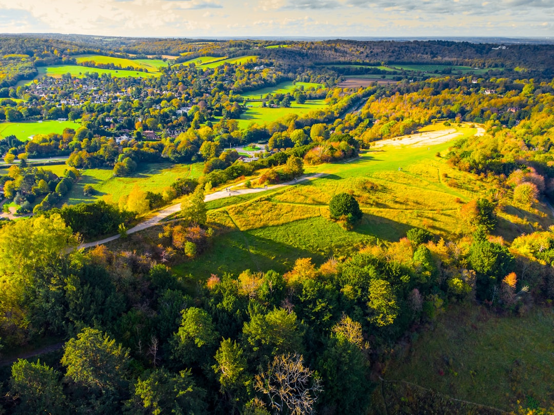 an aerial view of a lush green countryside,