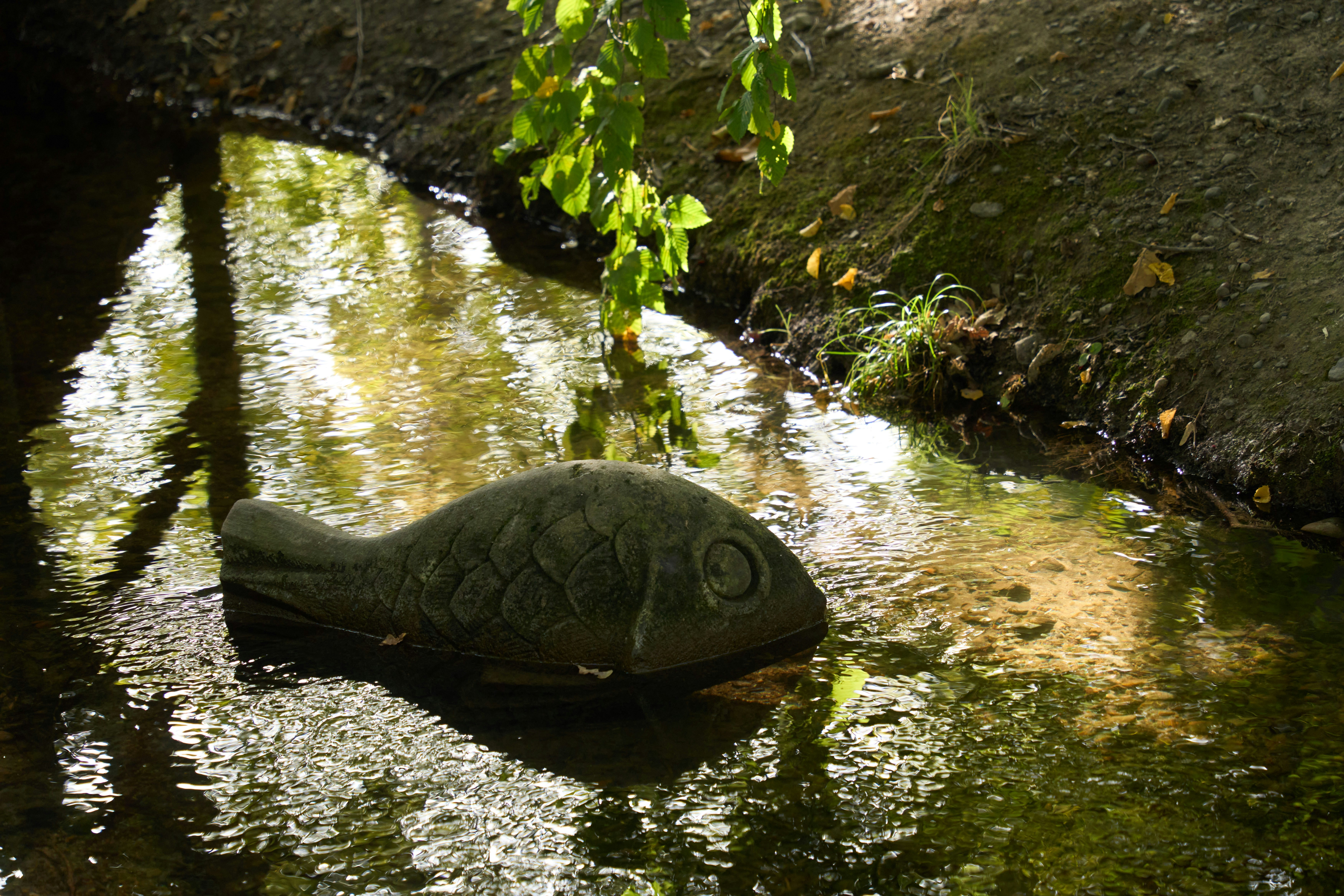 Photo by wolfgang_hasselmann