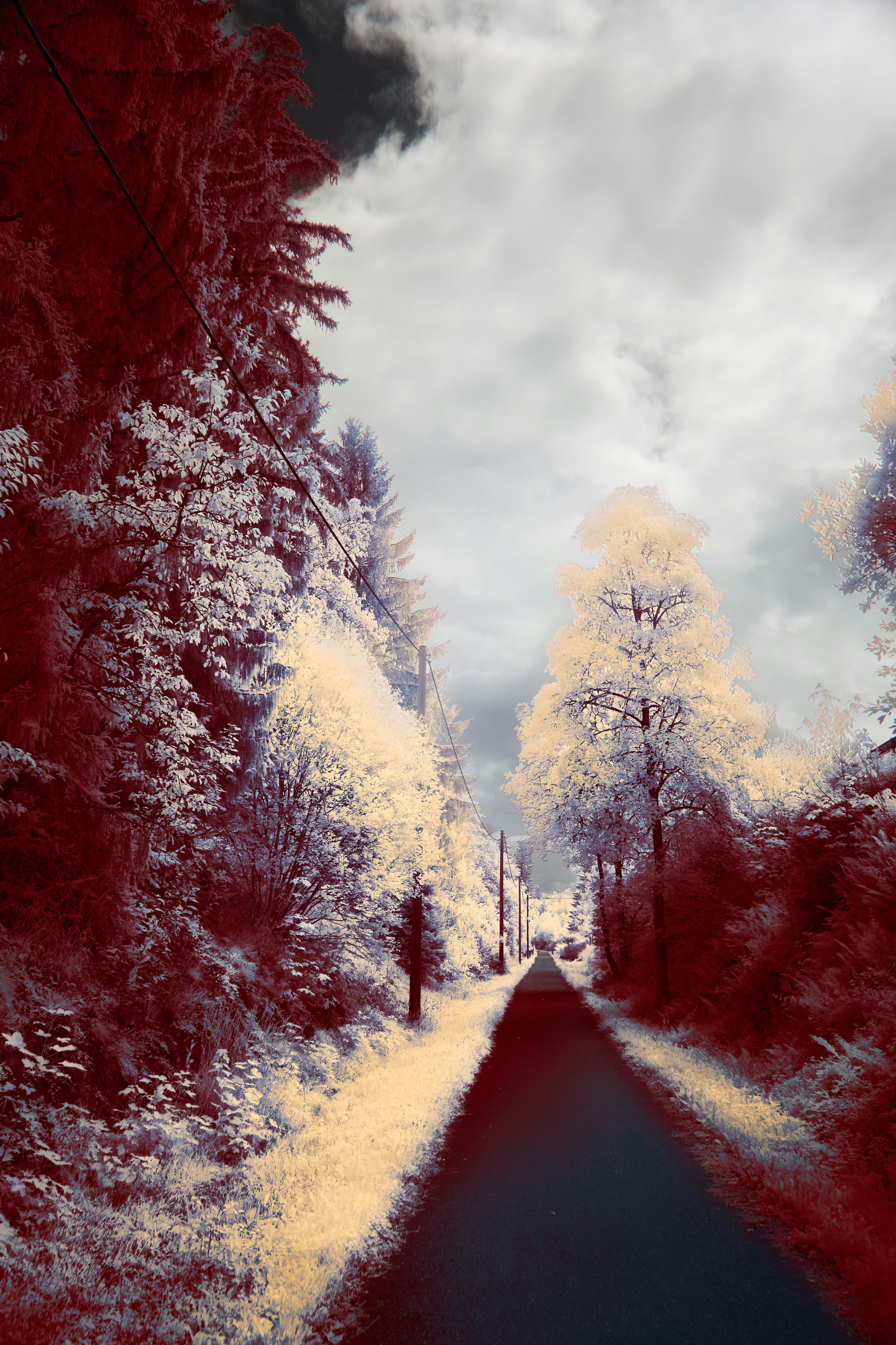 Photo by wolfgang_hasselmann