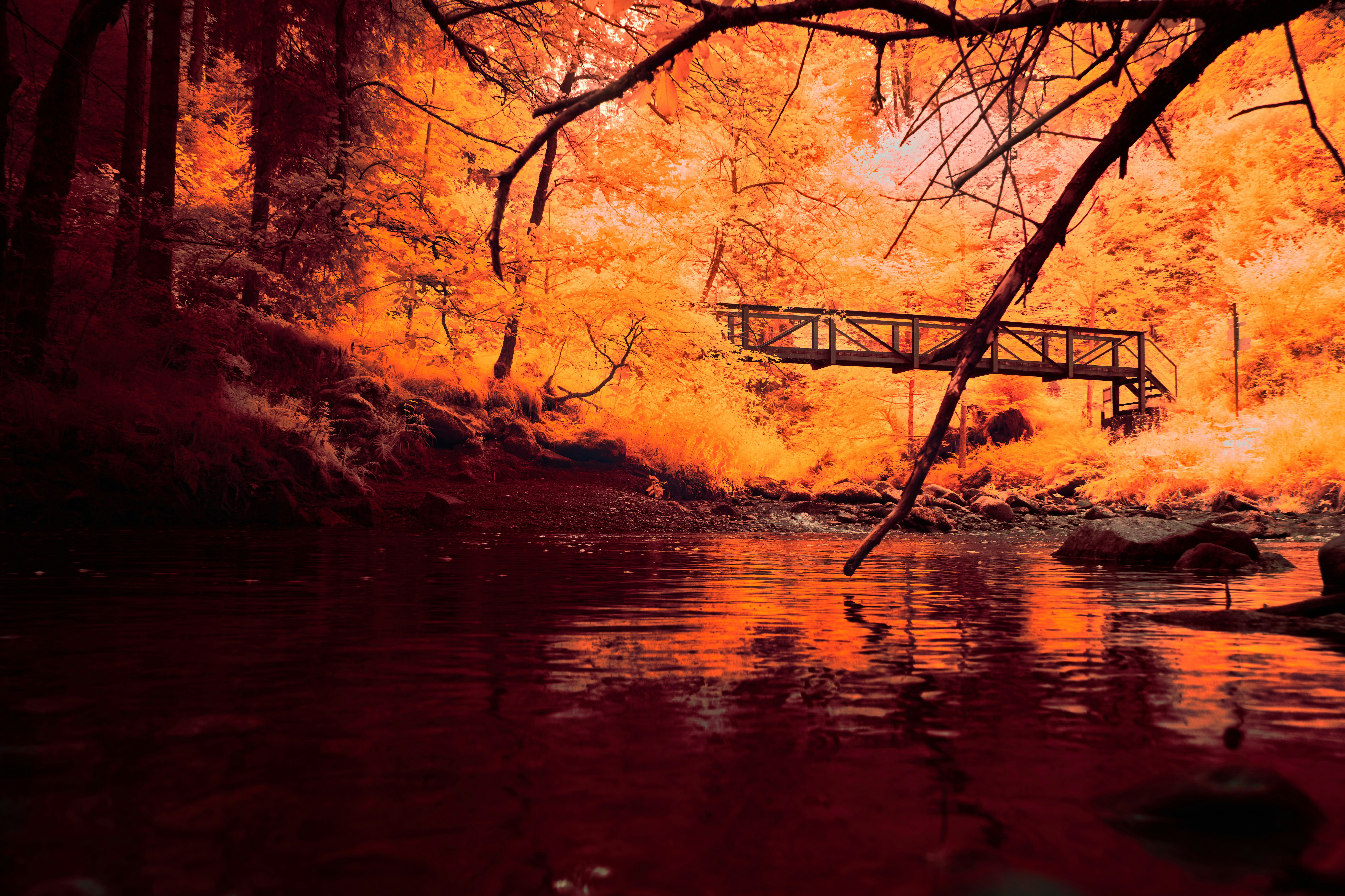 A bridge over a body of water surrounded by trees photo – Free Autumn ...
