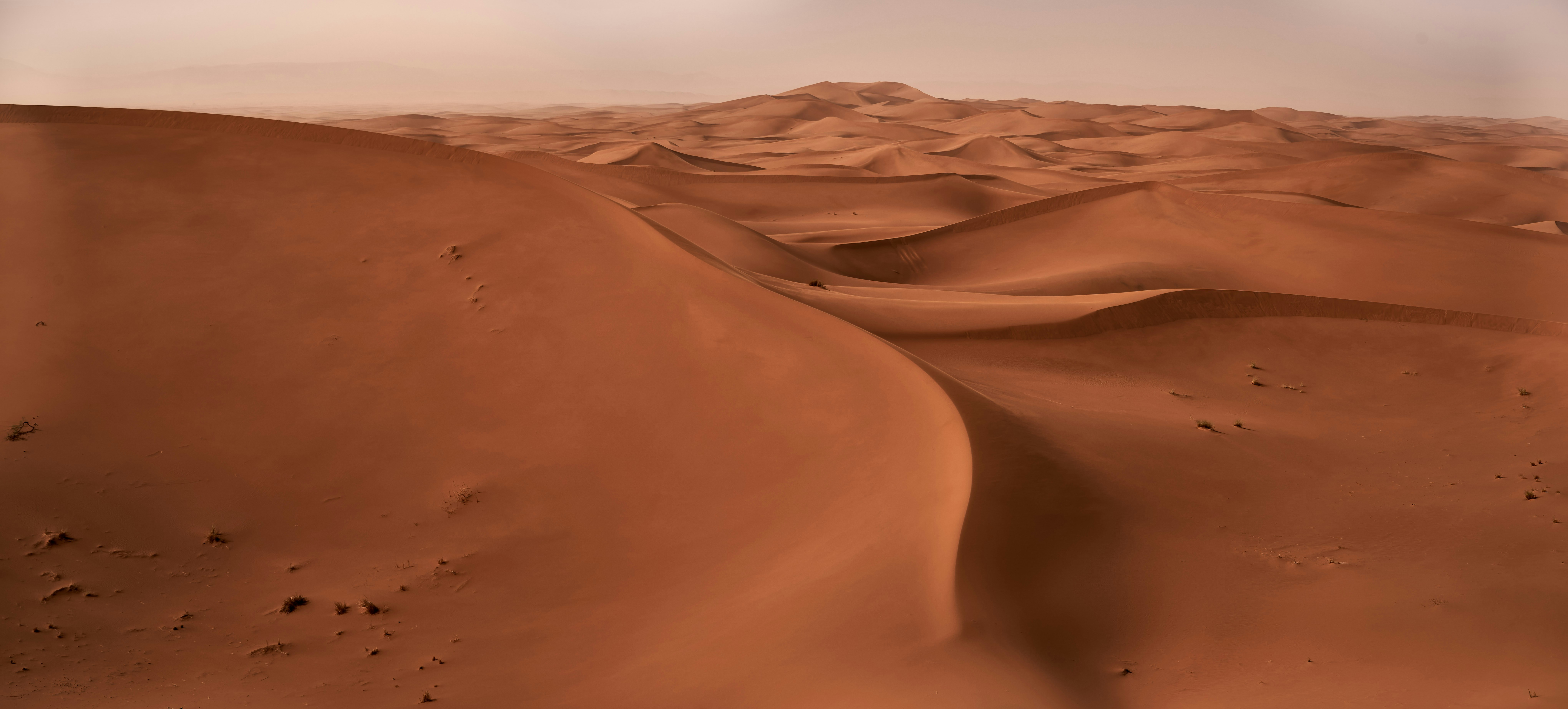 Photo by wolfgang_hasselmann