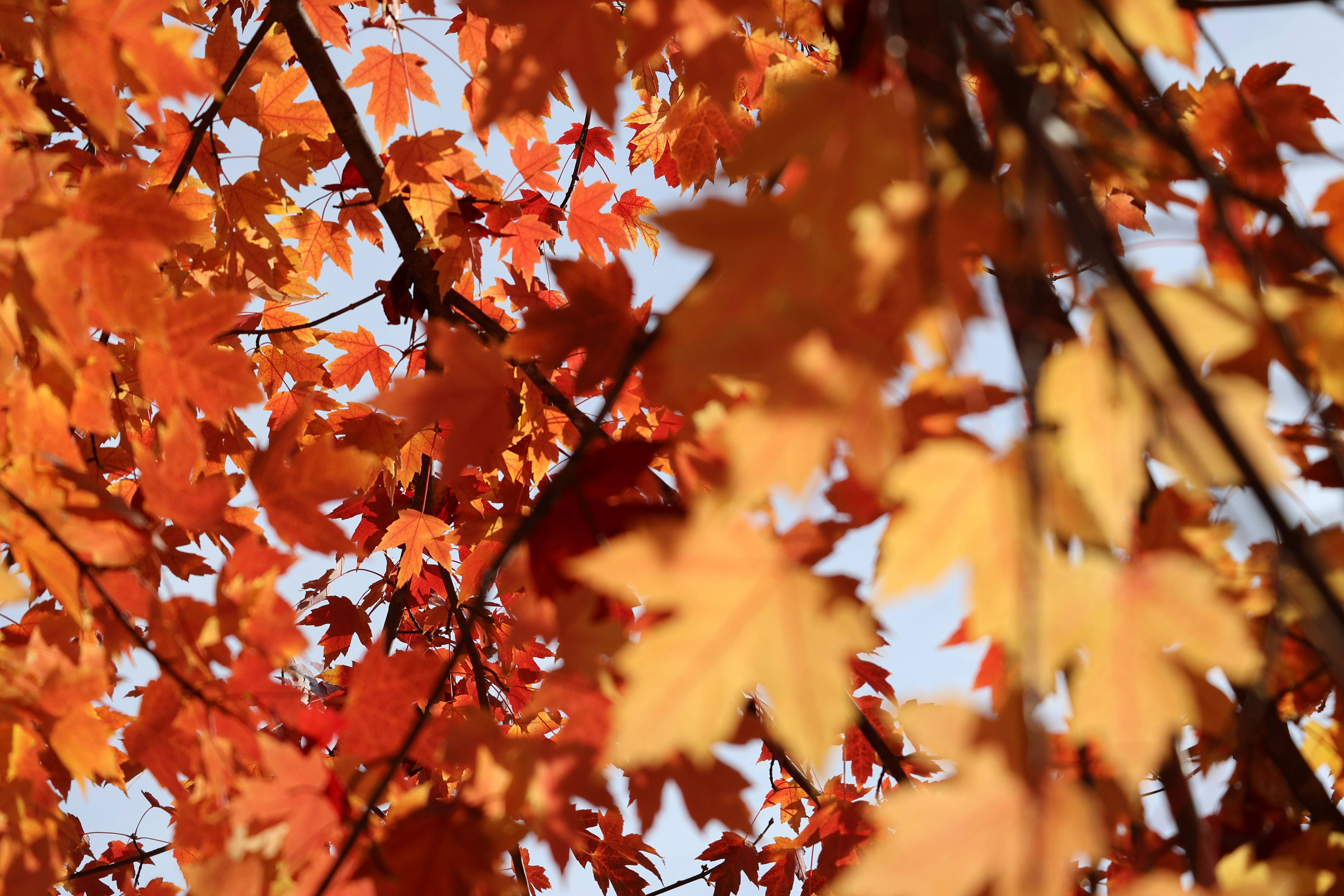 Photo by mission_pilot