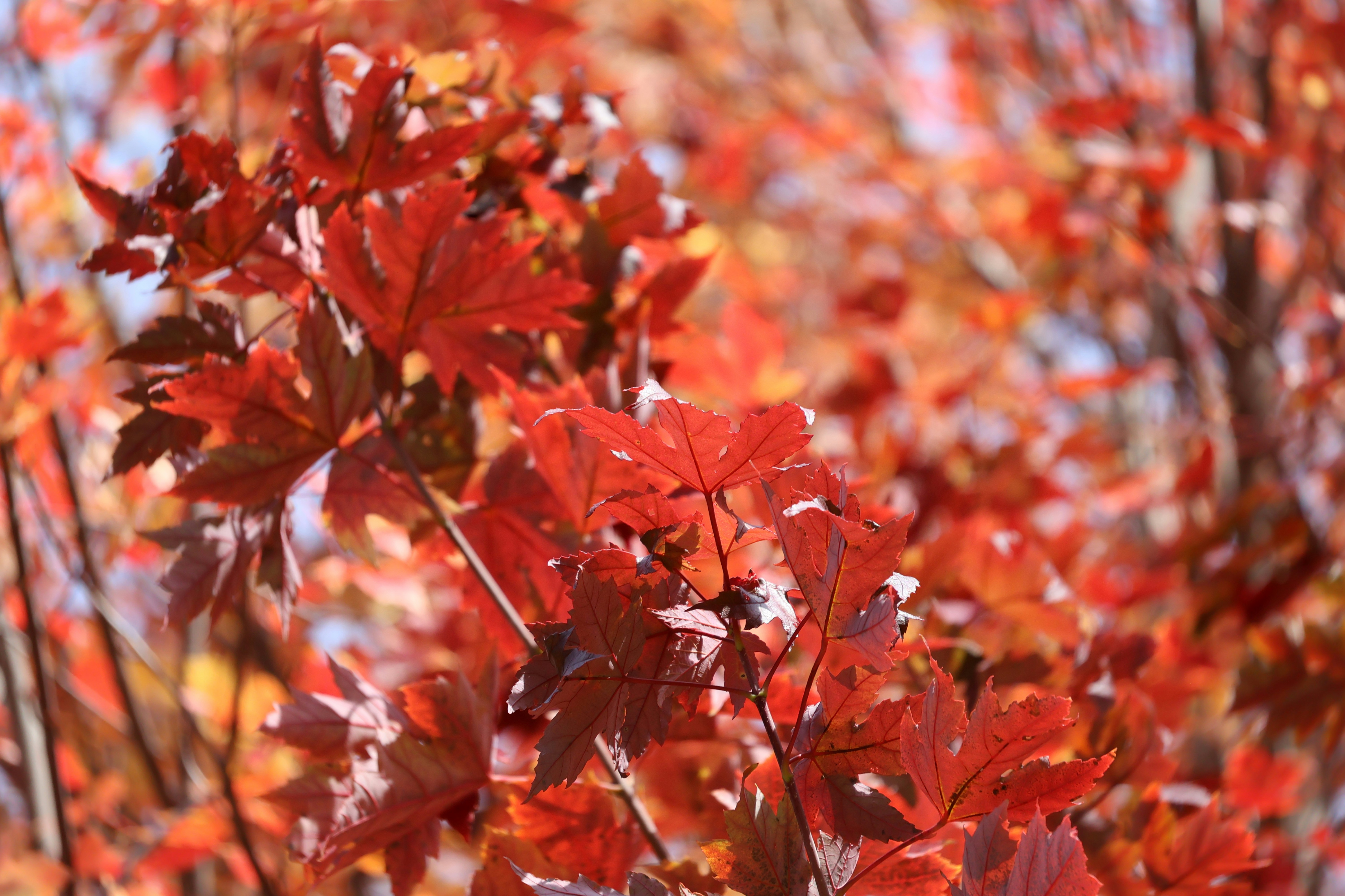 Photo by mission_pilot