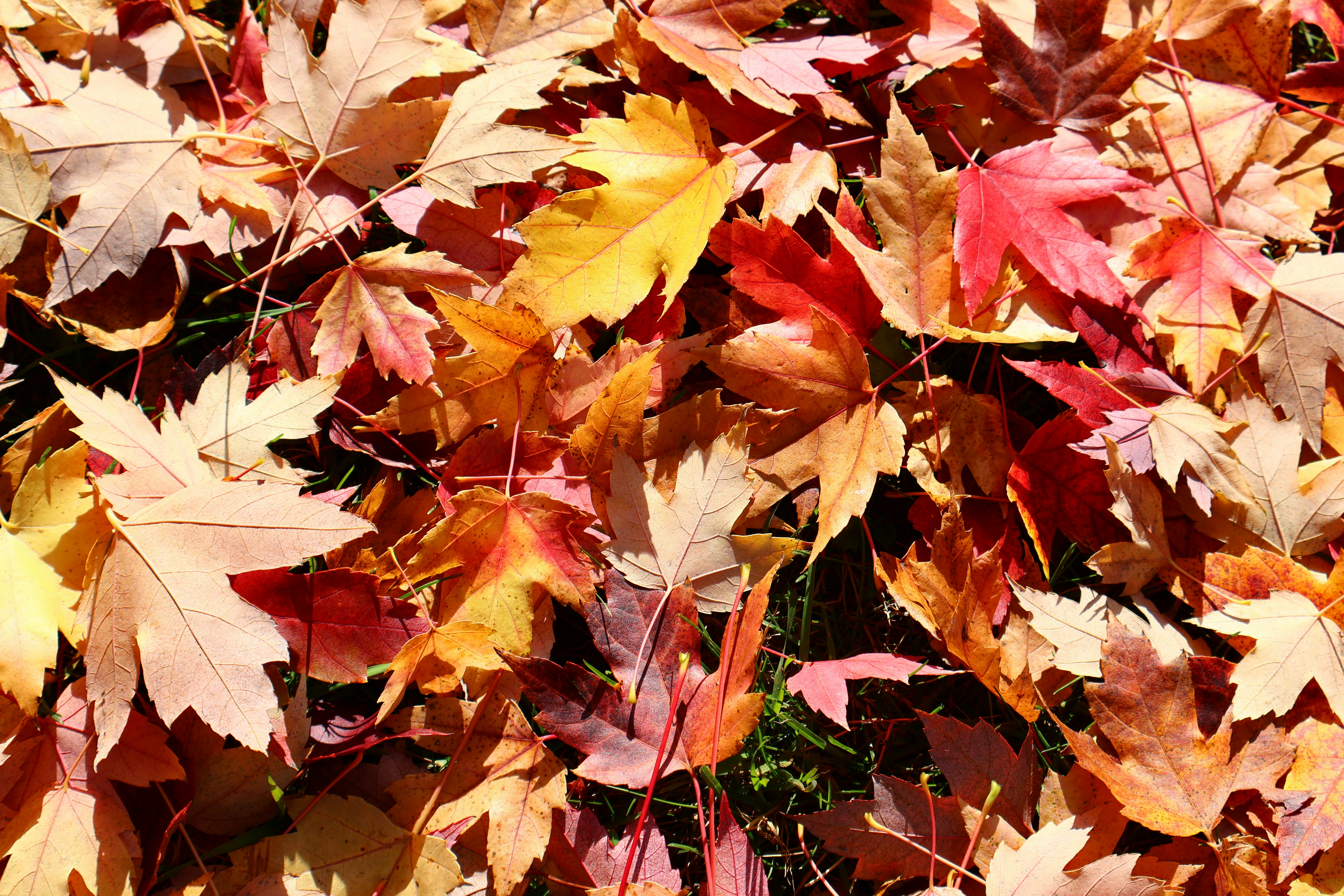 Photo by mission_pilot