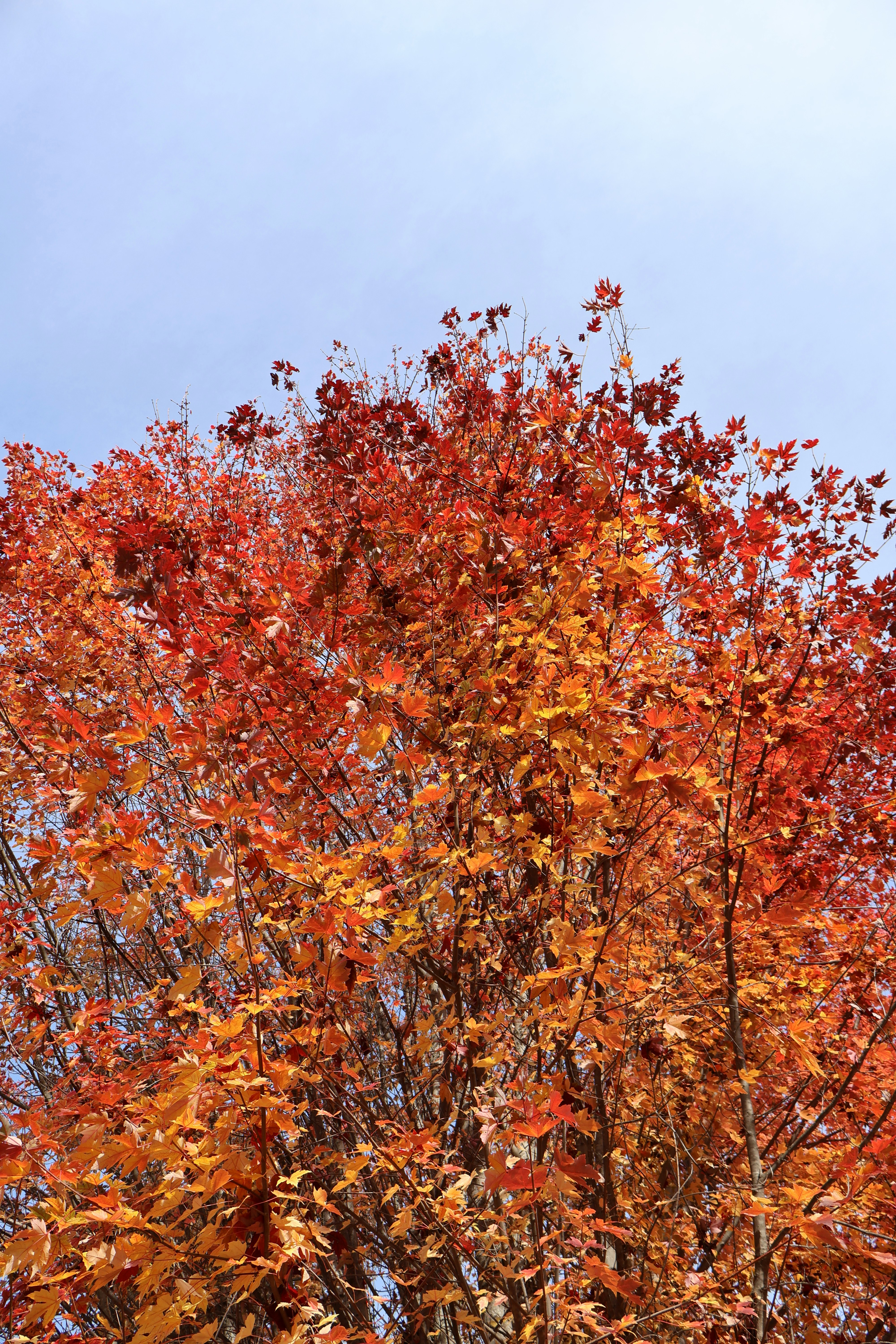 Photo by mission_pilot