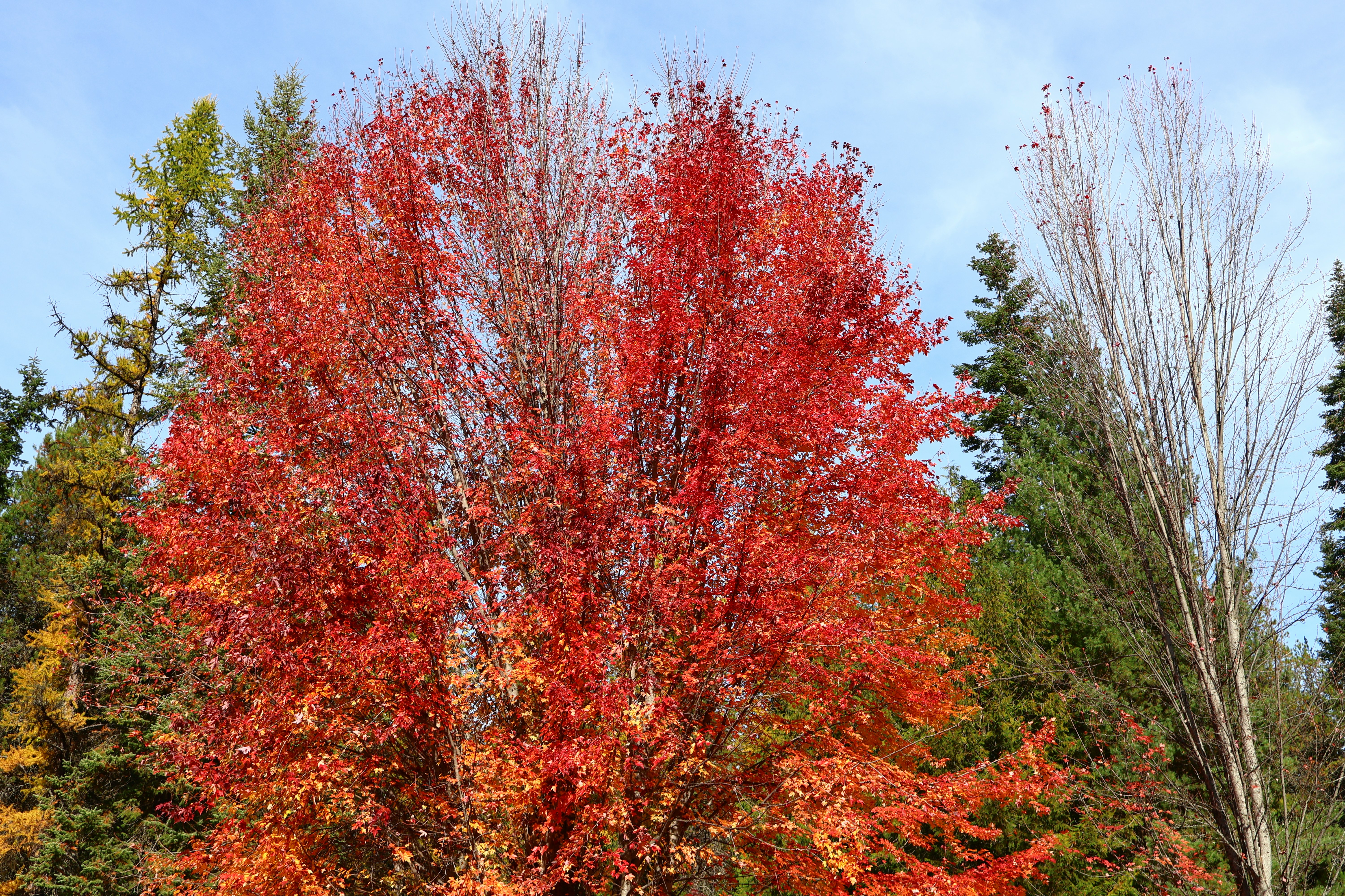 Photo by mission_pilot