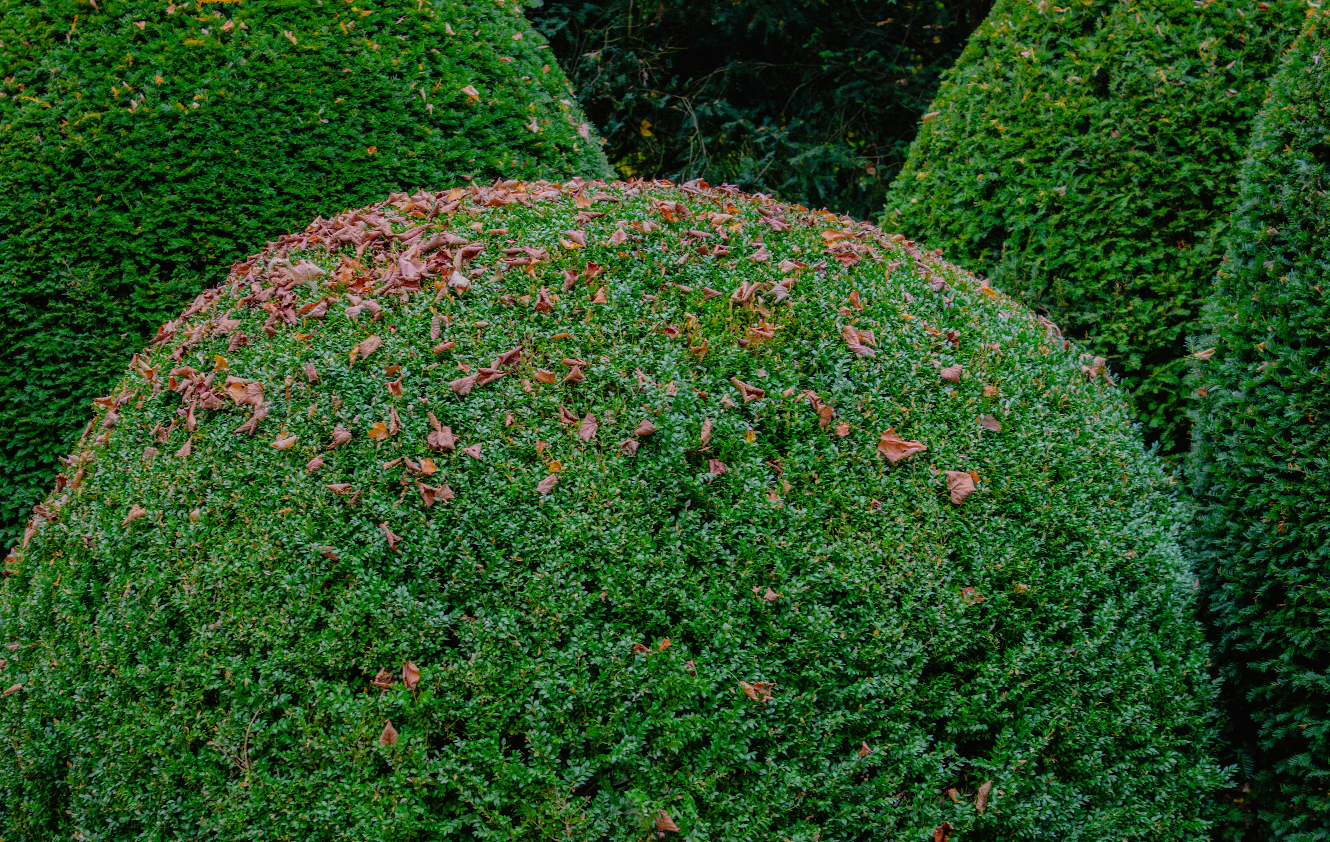 photo-1698260172075-f0ed51f34a71?ixid=M3