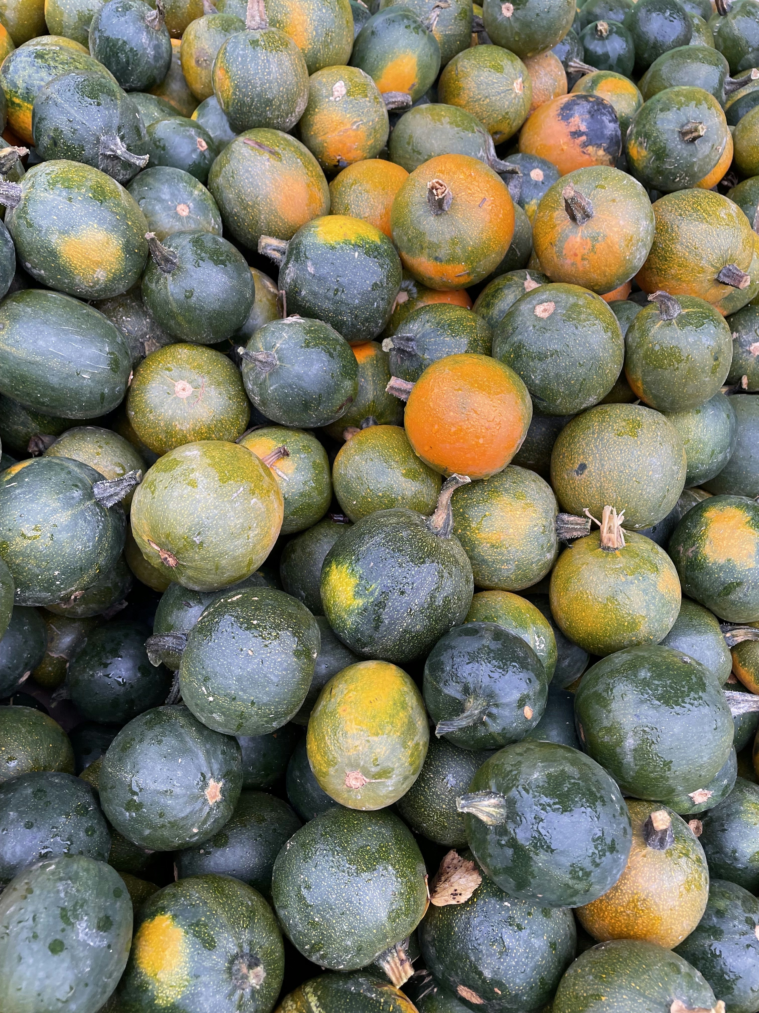 a large pile of oranges sitting on top of each other
