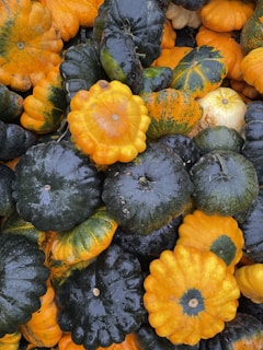 A pile of squash or gourds with bumpy, textured surfaces. The fruits are predominantly dark green and bright orange, displaying a variety of shapes and sizes.