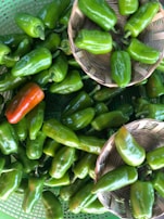 Baskets filled with a variety of colorful bell peppers on a rustic table.
