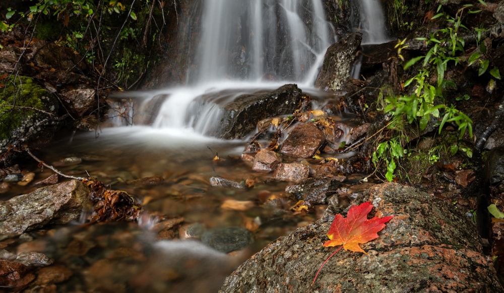 a small waterfall with a leaf on the rocks