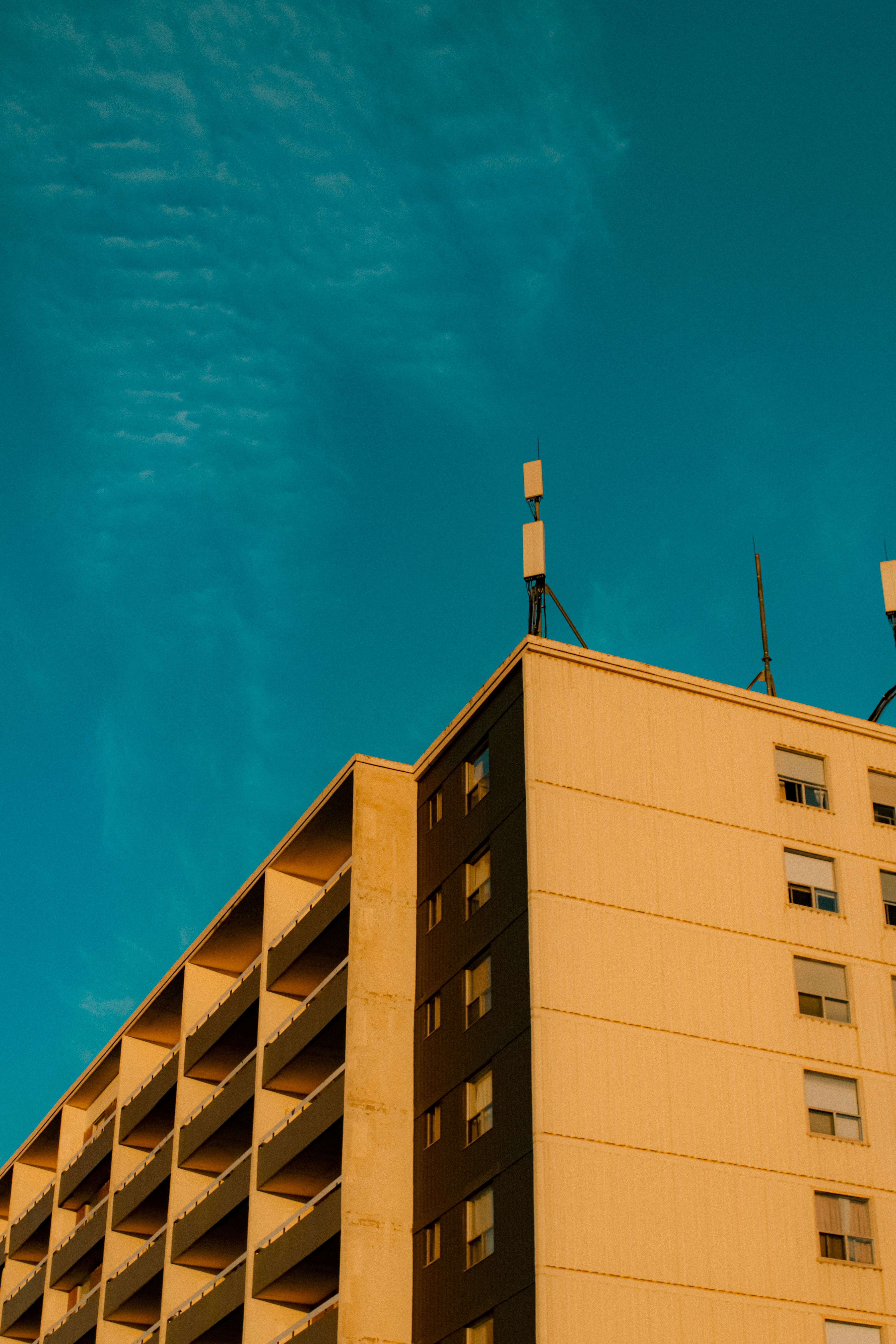 Photo by linusbelanger