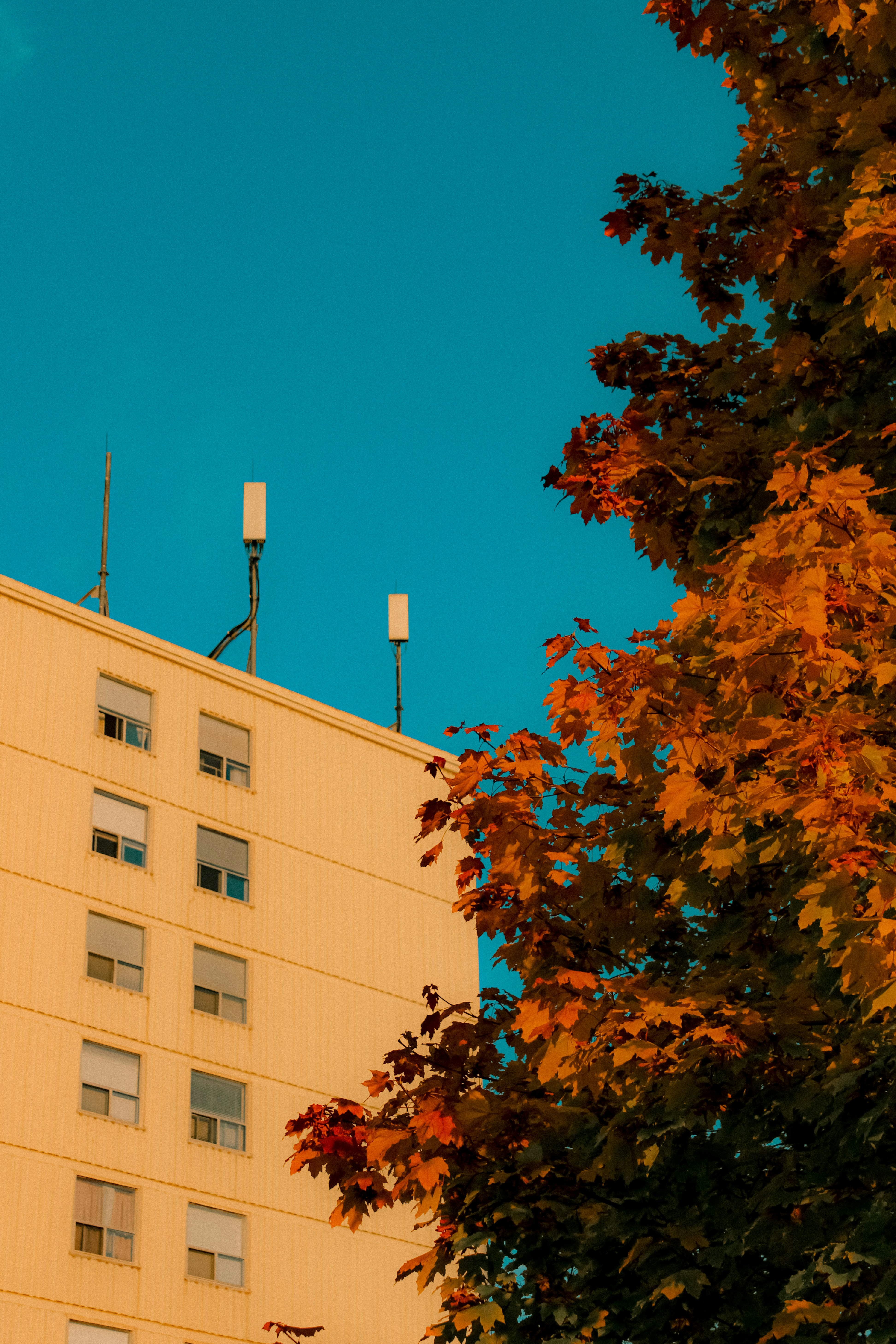 Photo by linusbelanger