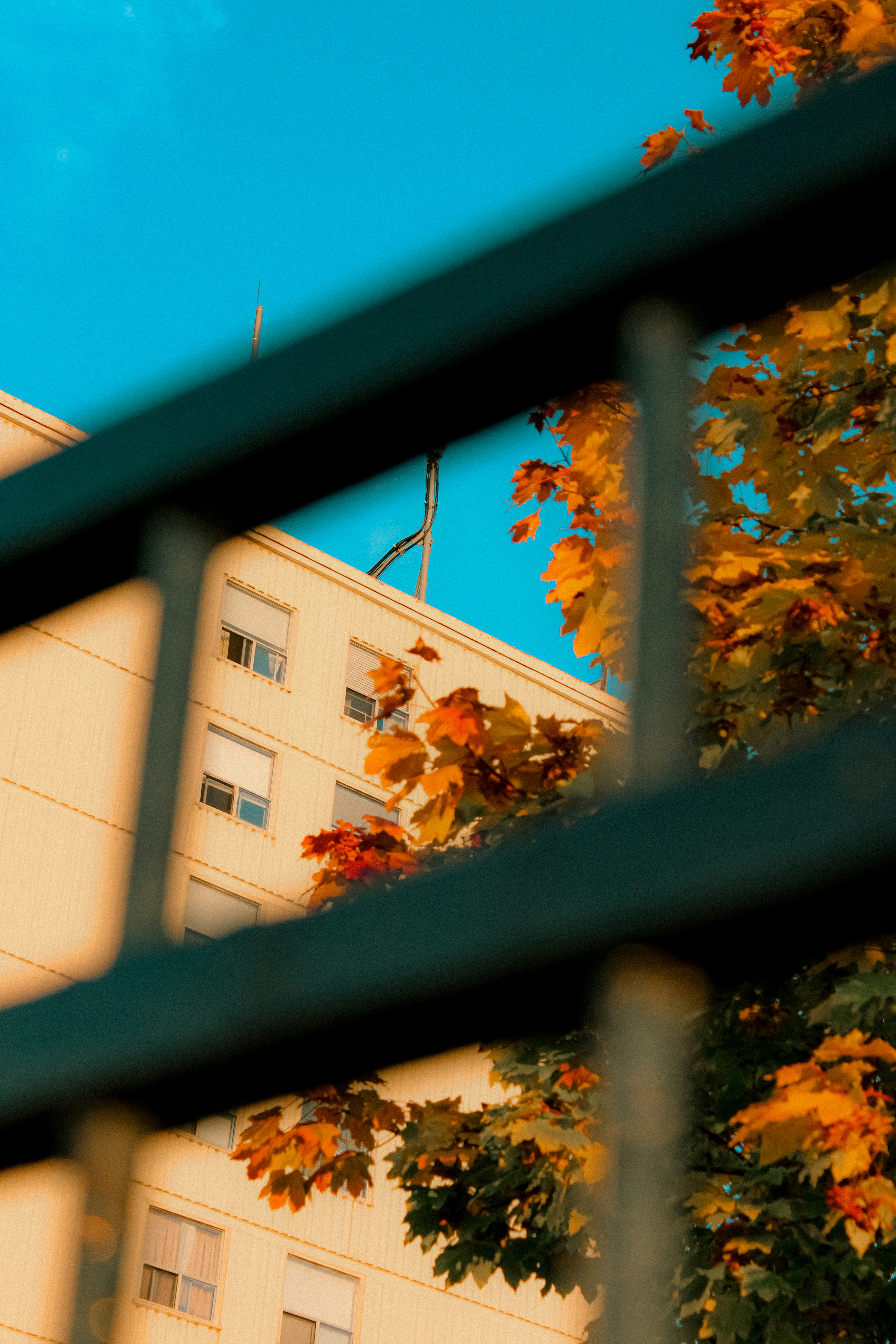 Photo by linusbelanger