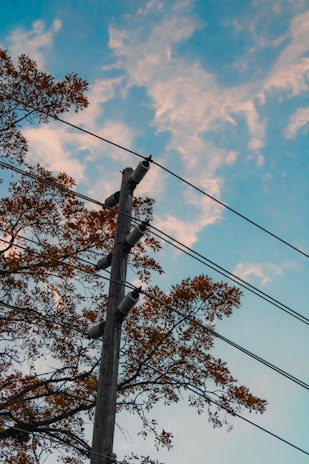 A utility pole with electrical insulators and wires is surrounded by tree branches with yellow leaves. The sky in the background has a mix of blue and soft white clouds, creating a serene backdrop.