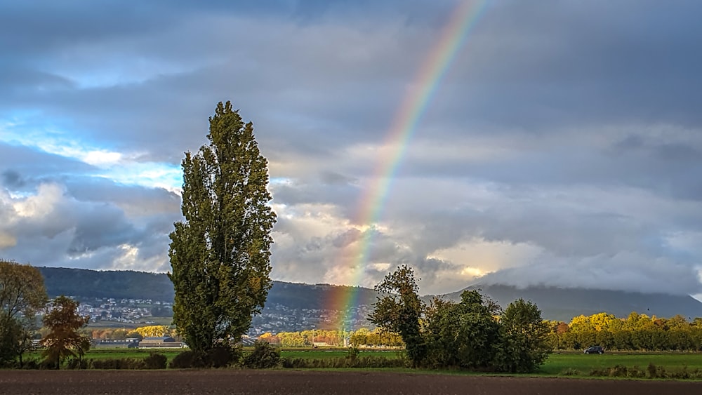 a rainbow appears in the sky over a field