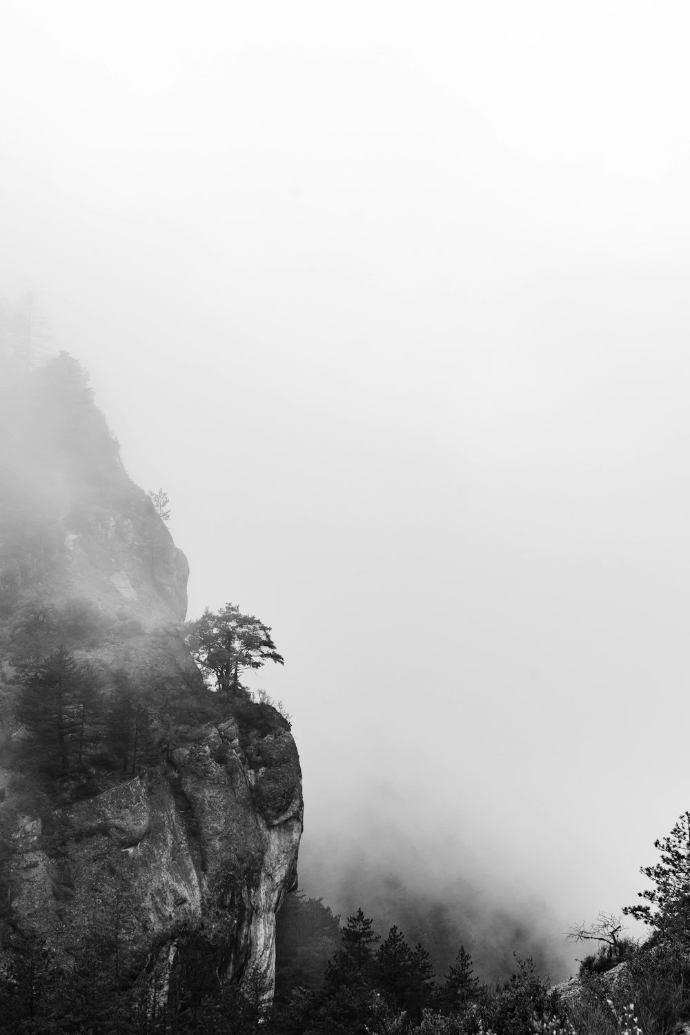 a black and white photo of a foggy mountain