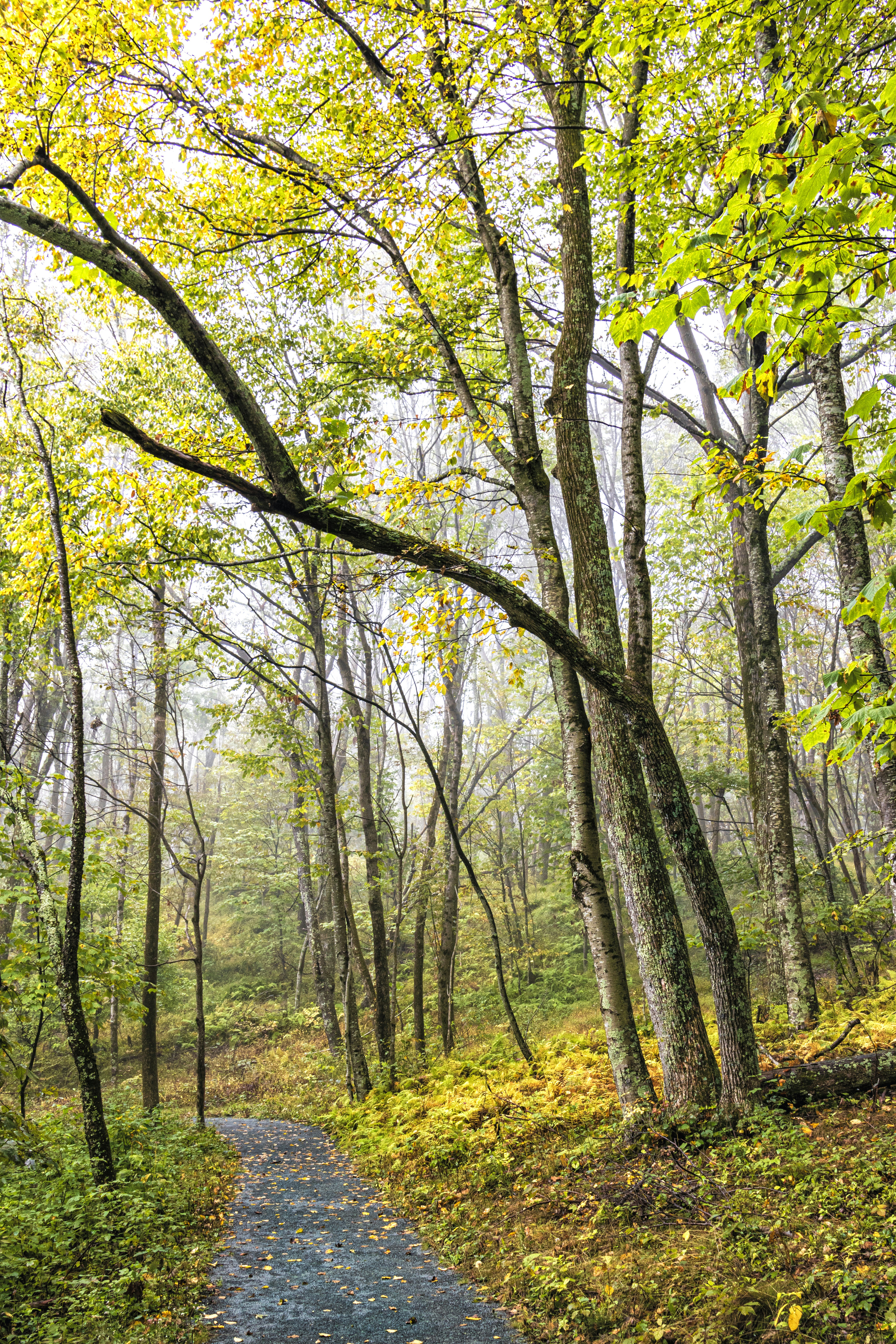 Photo by sterlinglanier