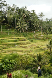 A warm, candid photo of a local guide sharing a laugh with travelers beside a lush green rice terrace.