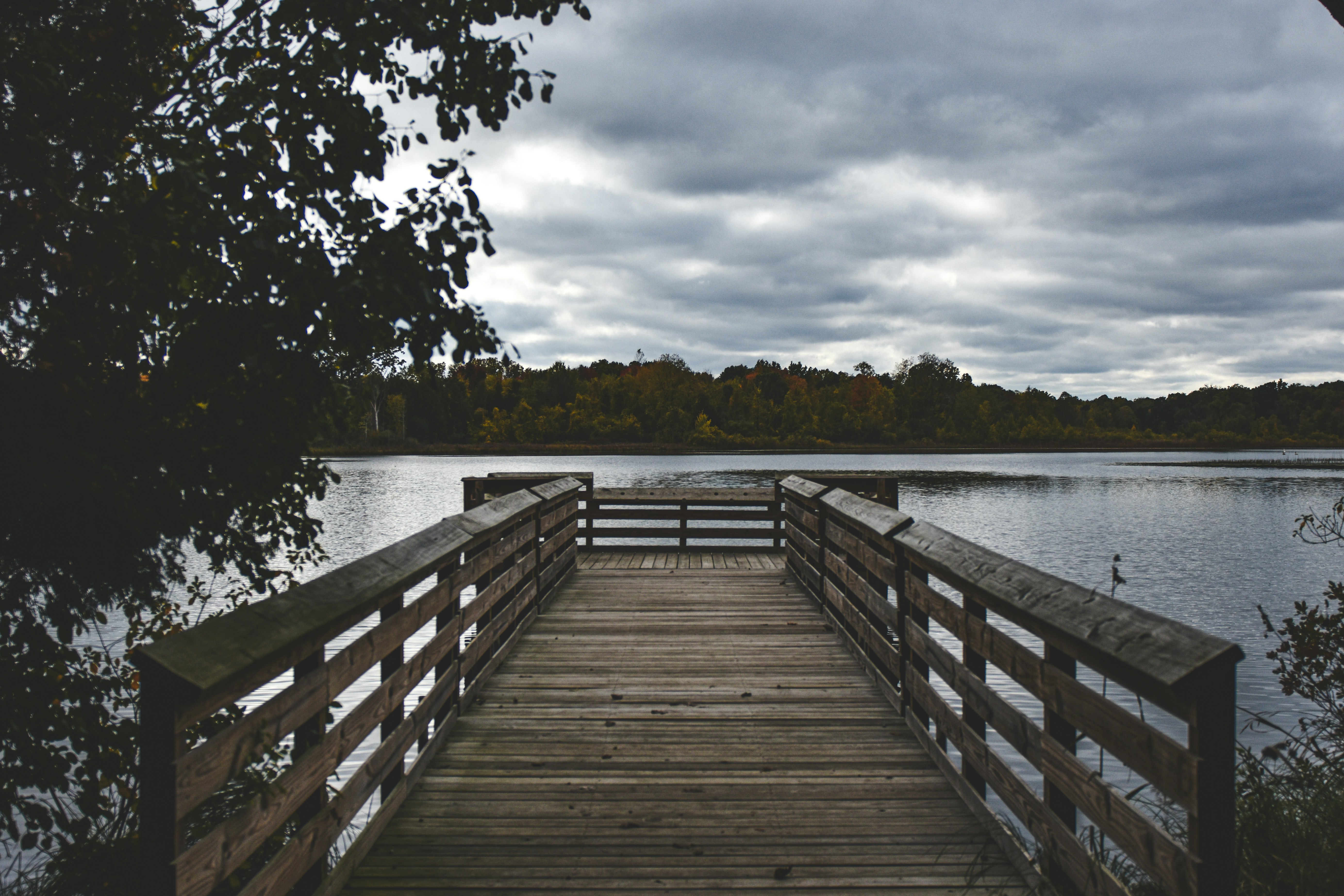 Photo by freefolkphoto