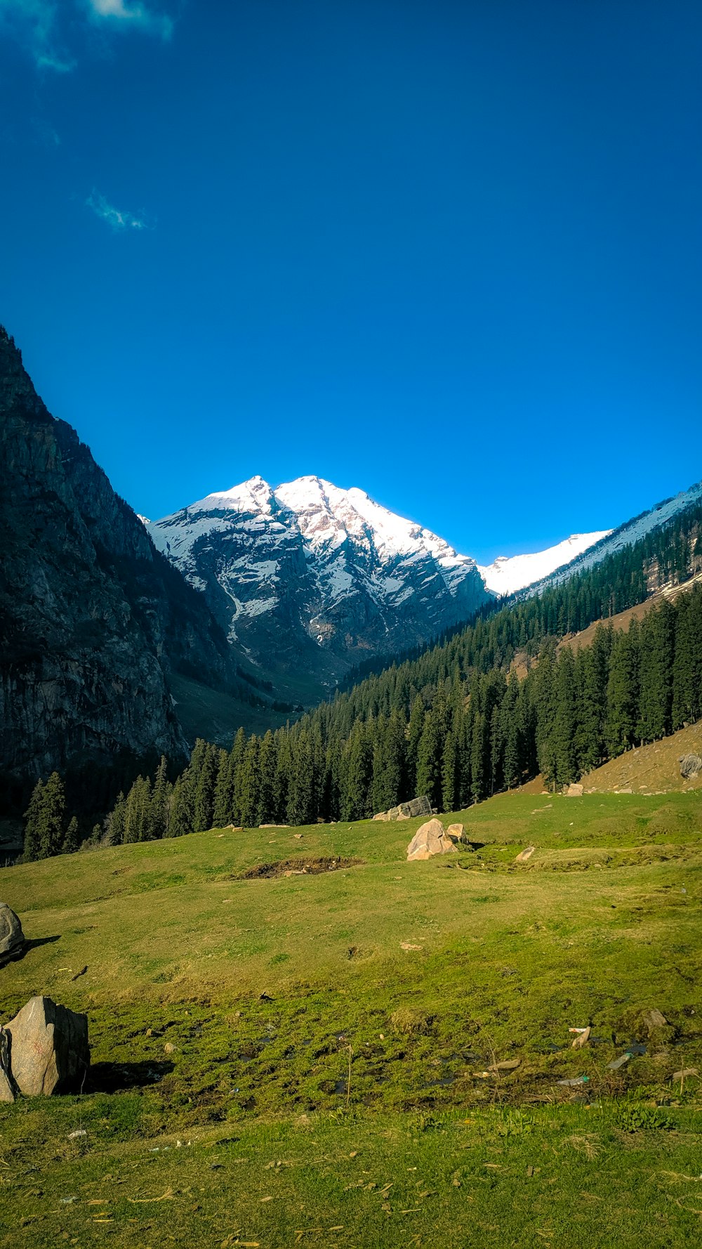 a grassy field with a mountain in the background