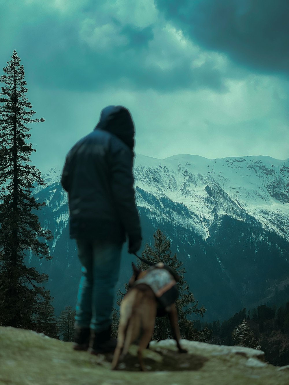 a person with a dog in the mountains