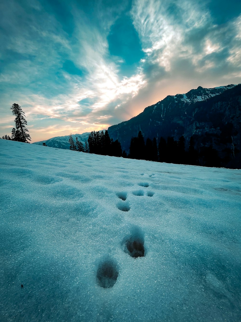 a snow covered field with footprints in the snow