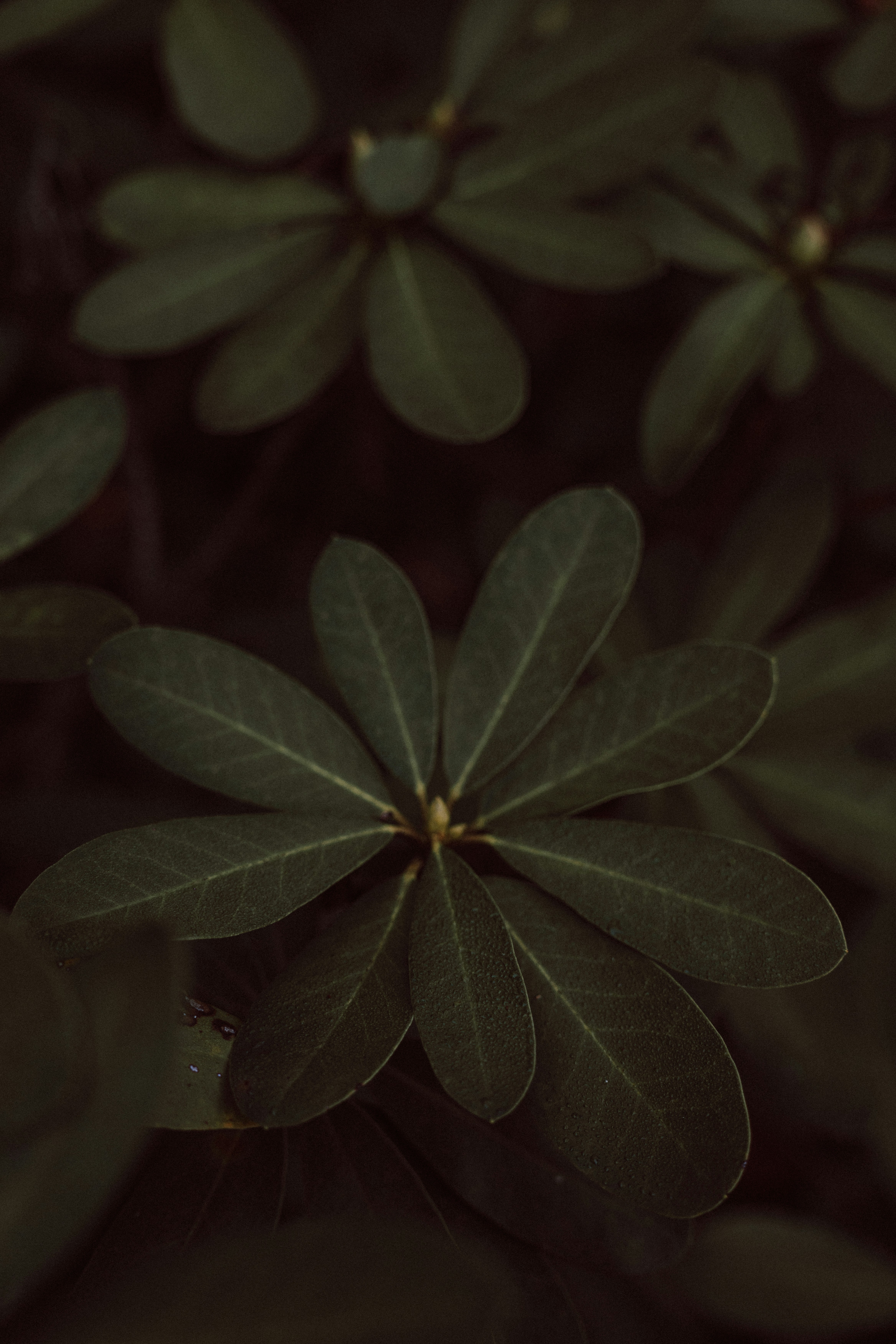 Photo by neatocreative