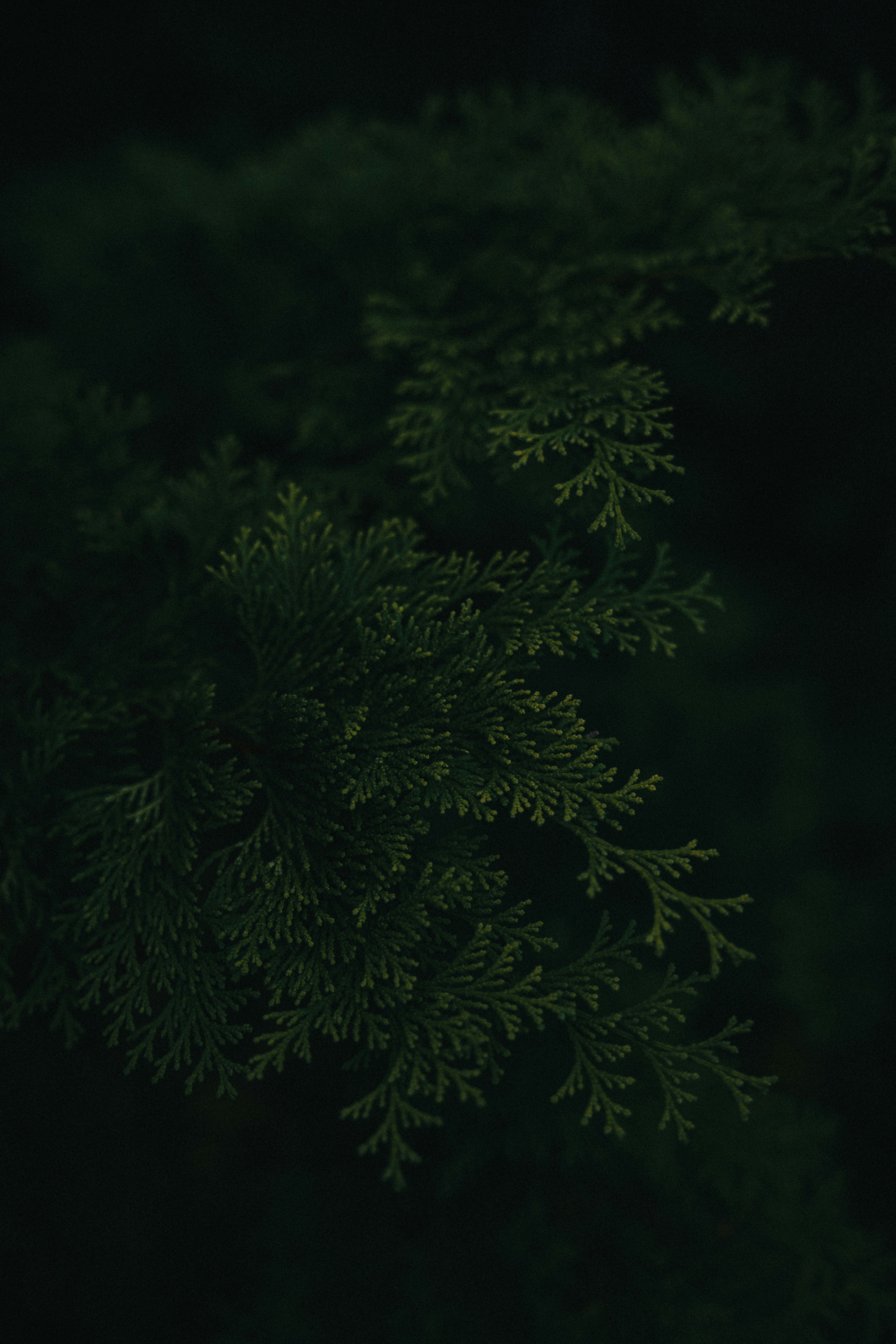 Photo by neatocreative