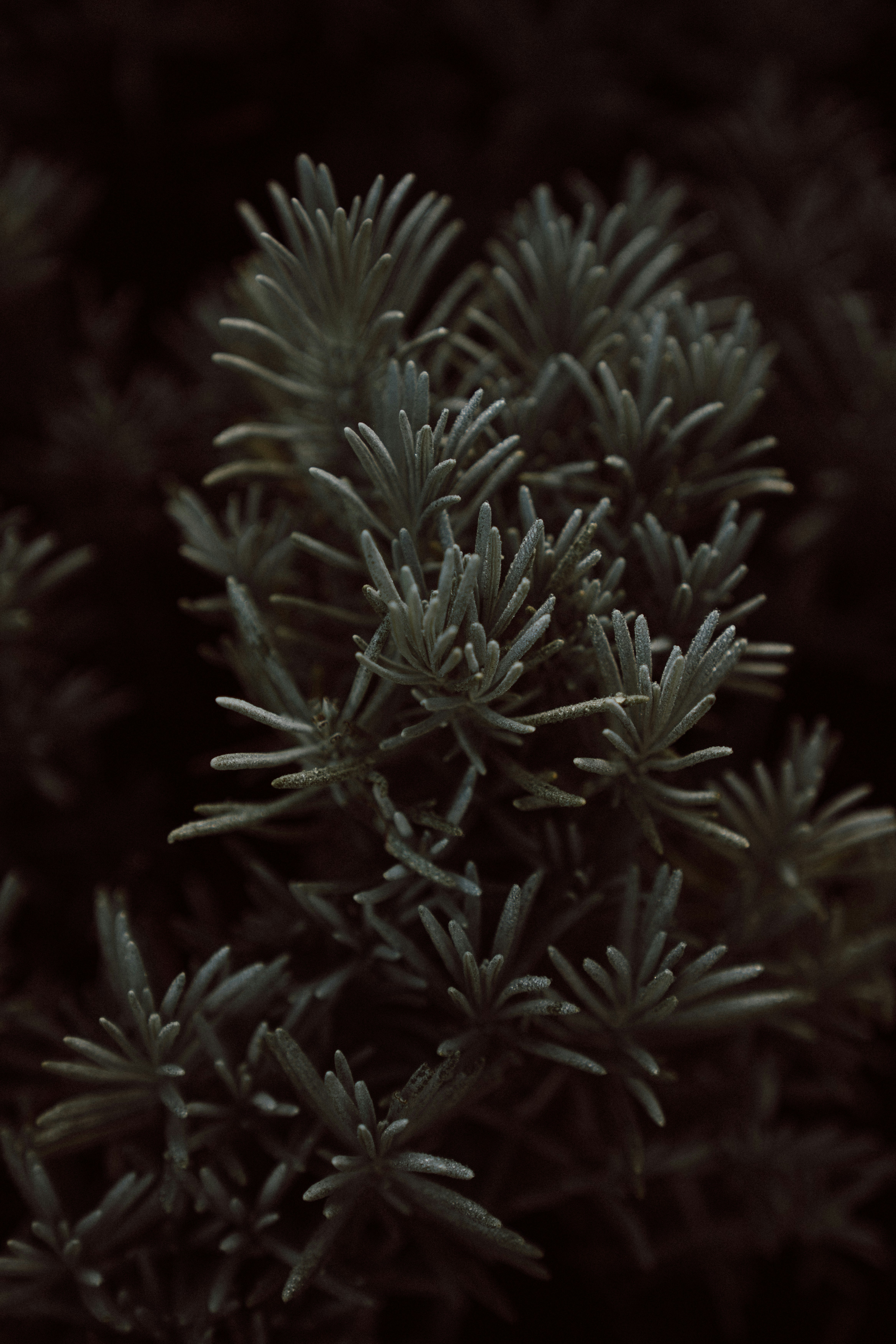 Photo by neatocreative