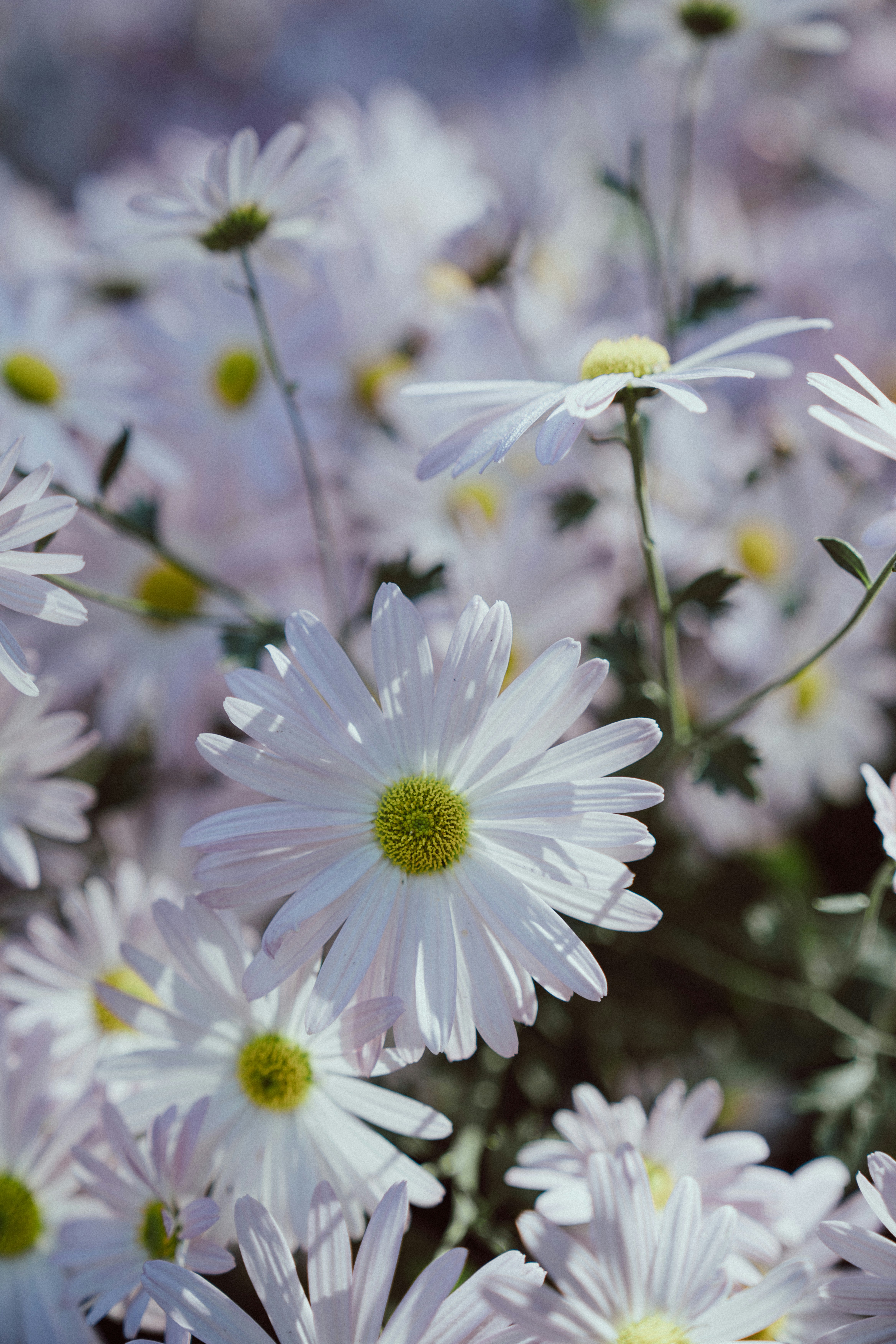 Photo by neatocreative