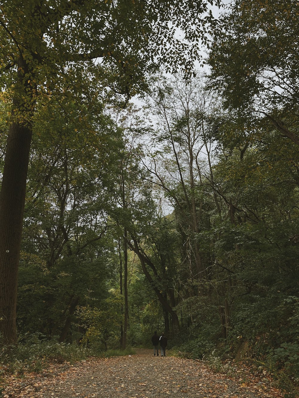 a couple of people walking down a dirt road