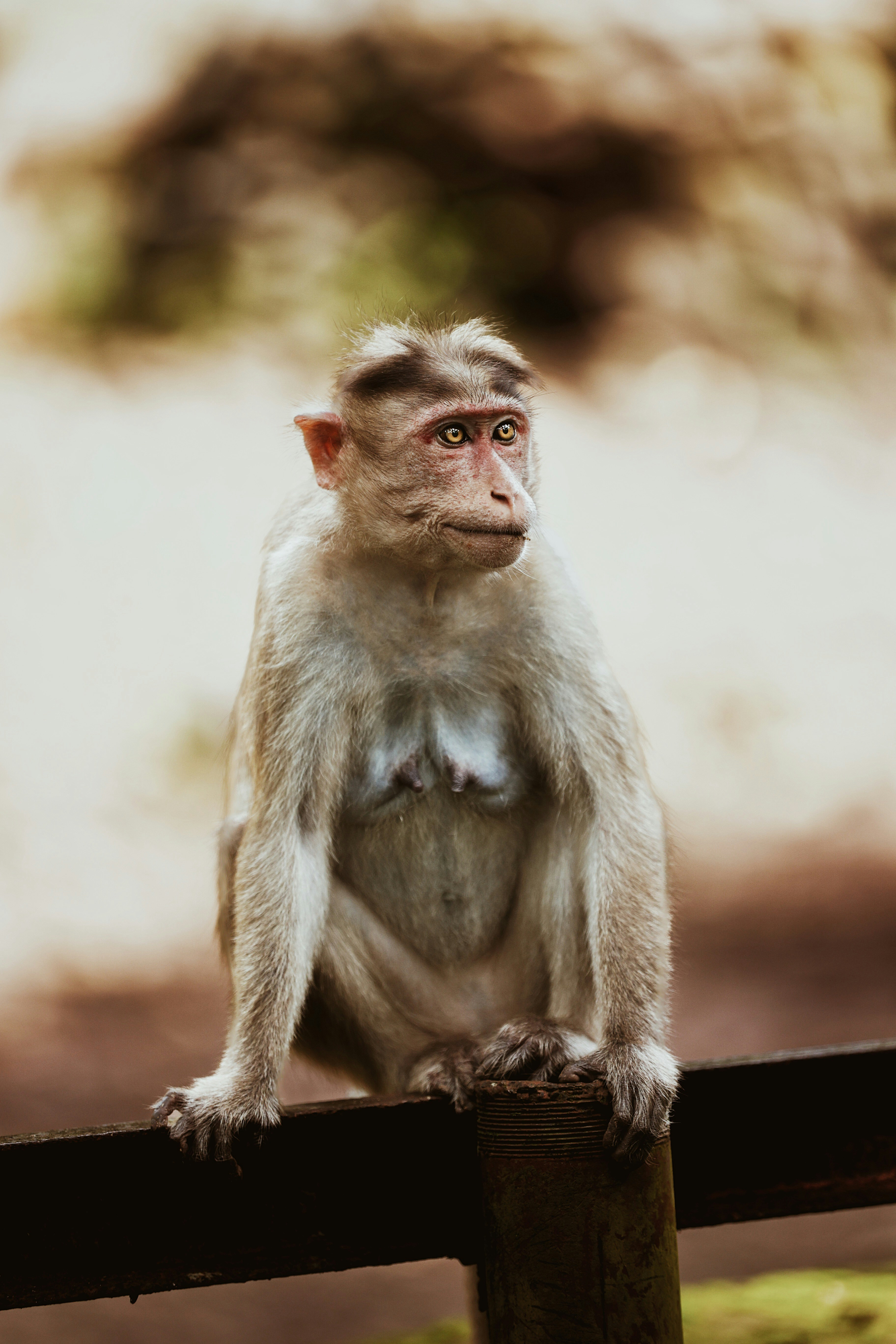 Photo by vishaldavde09