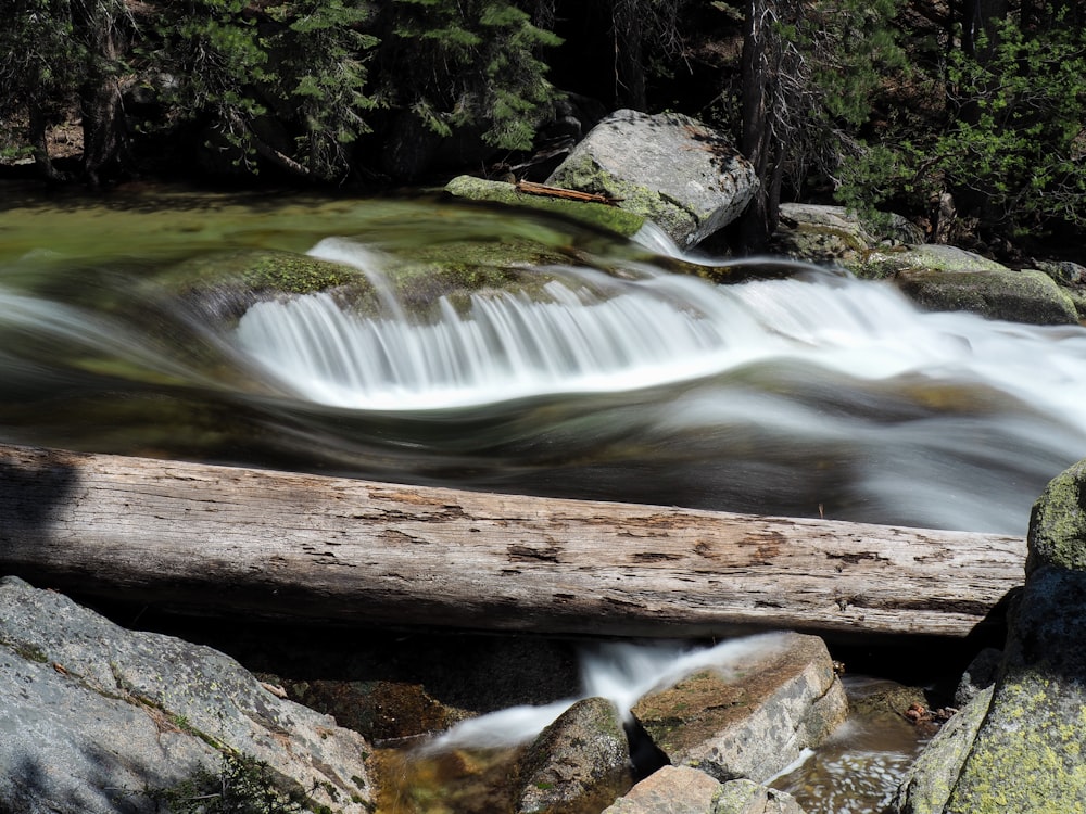 una corriente de agua que corre sobre las rocas en un bosque