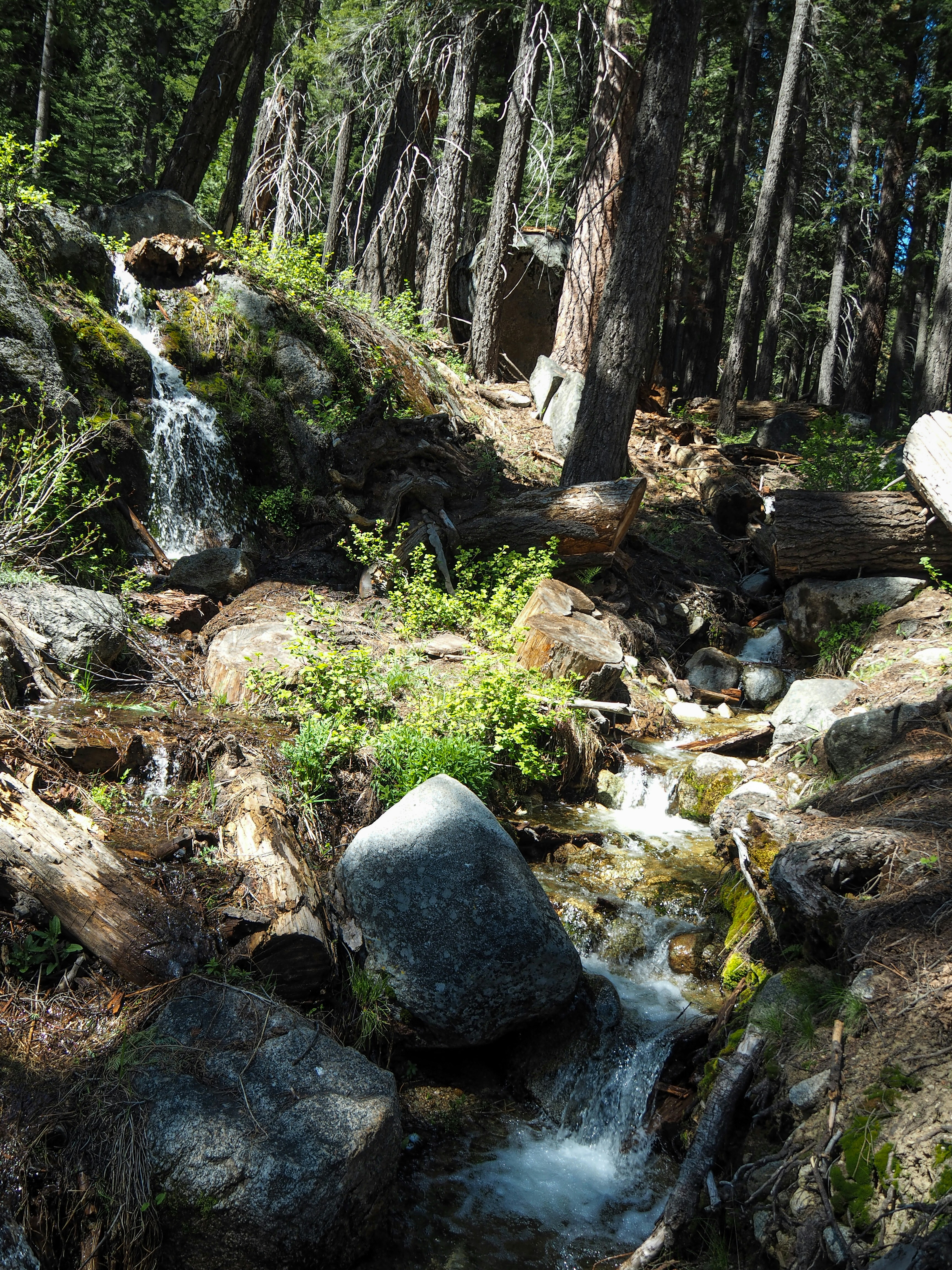 Photo by skyhung1228