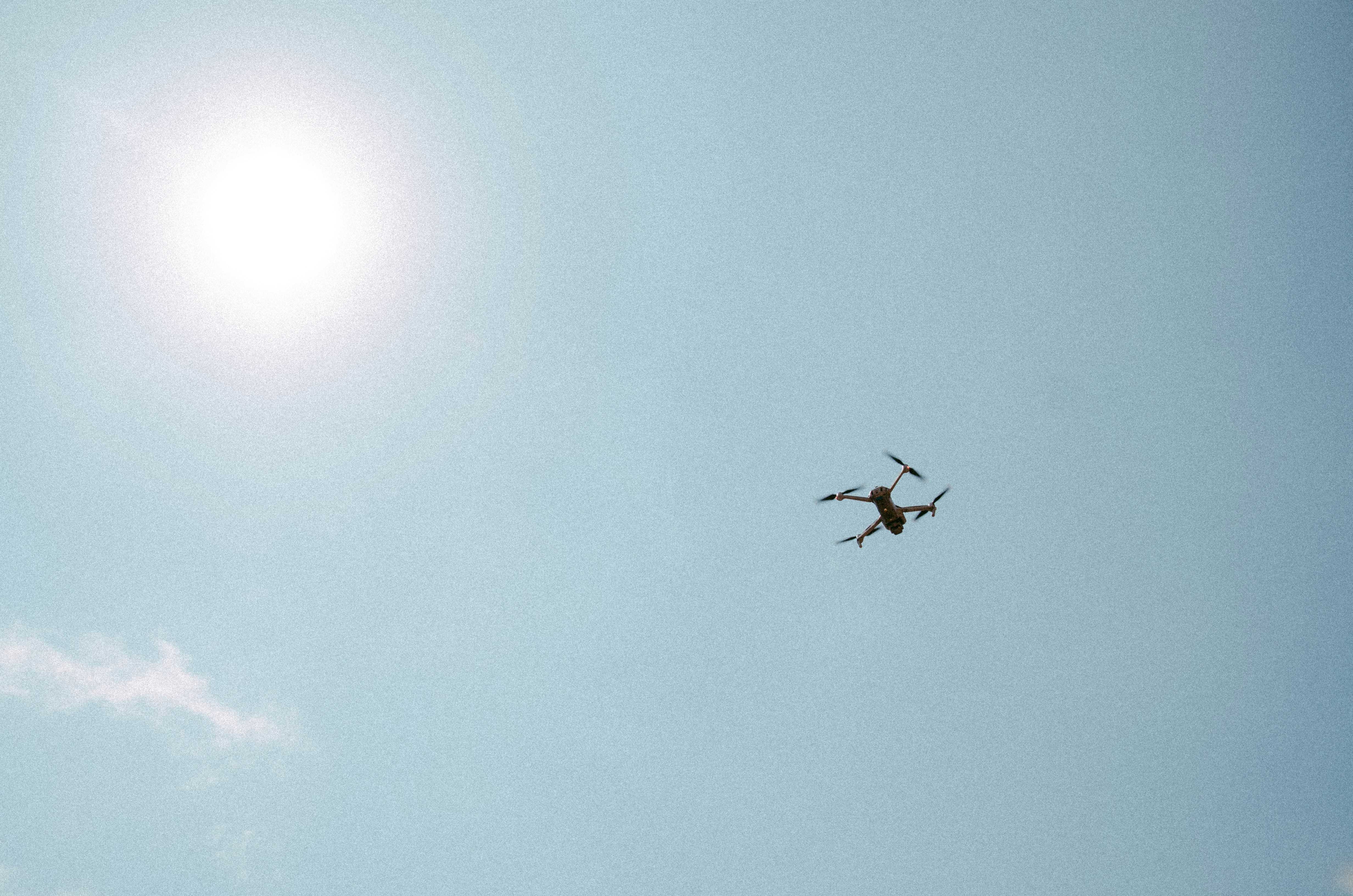 a bird flying in the sky with the sun in the background
