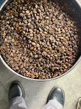 A shipping container being loaded with bags of green coffee beans at a busy port in São Paulo.