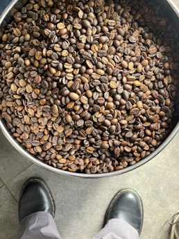 A shipping container being loaded with bags of green coffee beans at a busy port in São Paulo.