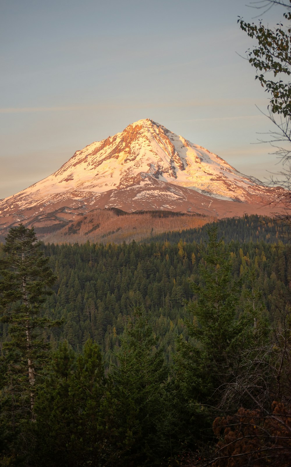 a mountain with a snow covered top surrounded by trees