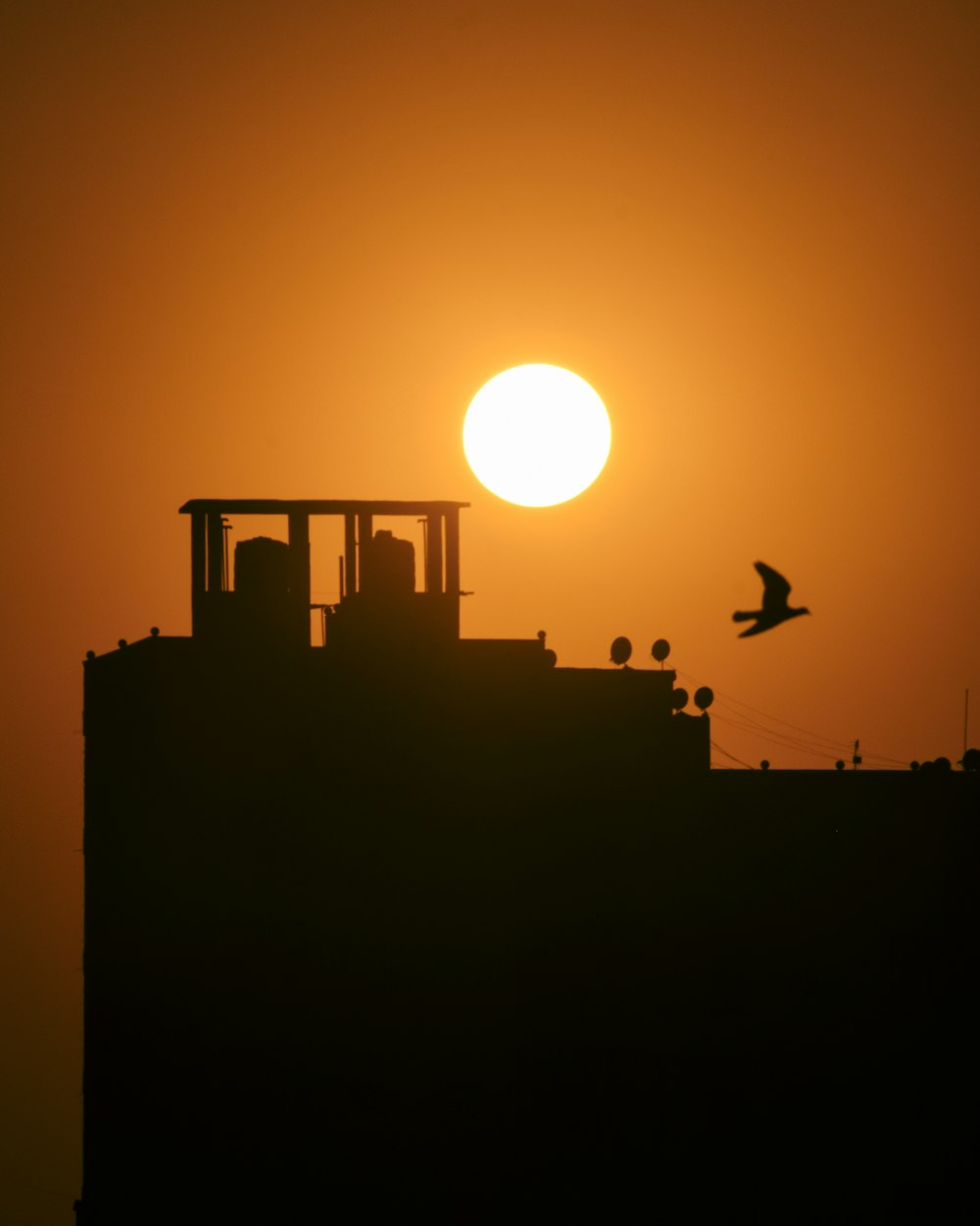 the sun is setting behind a building with a bird flying by