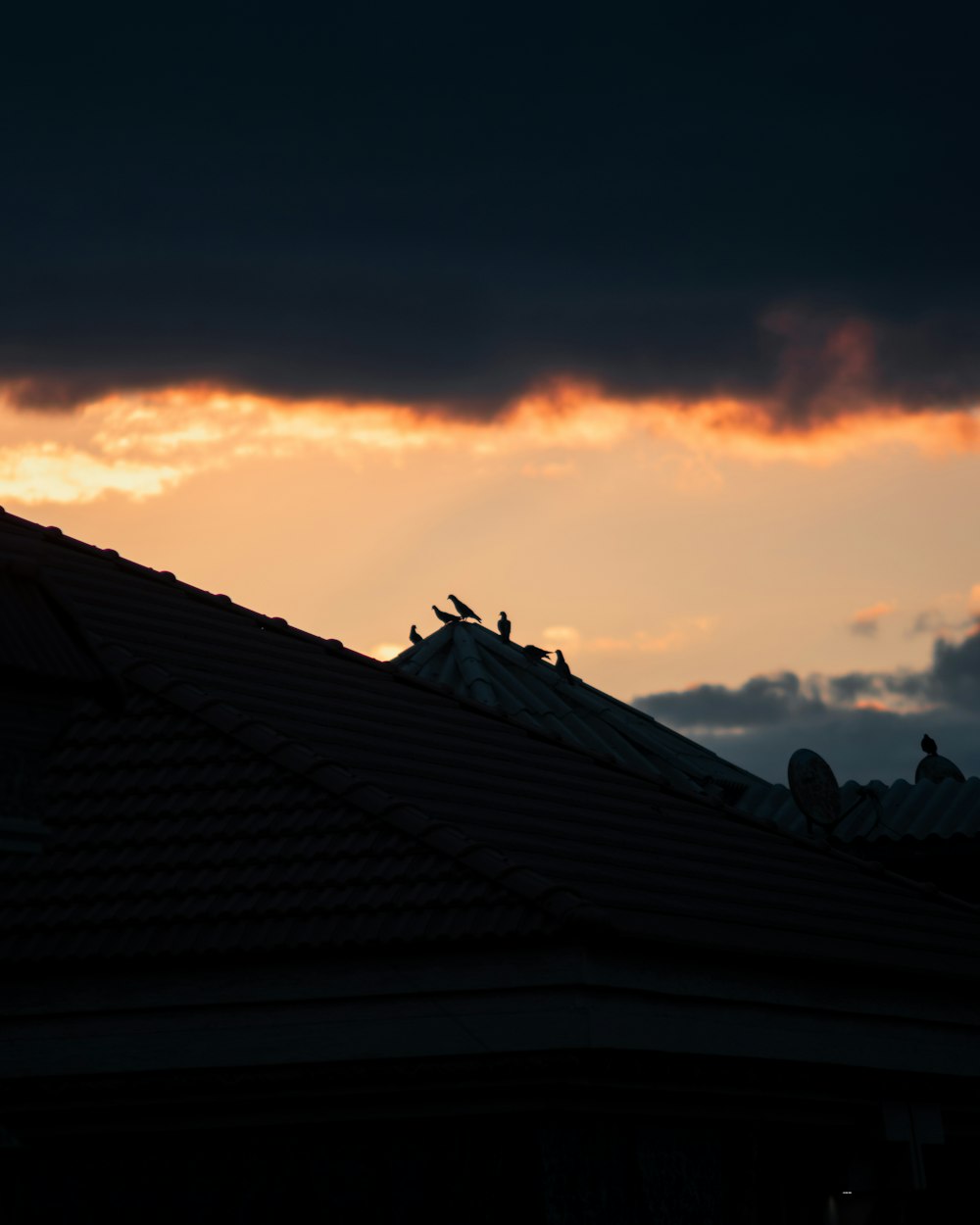 a bird sitting on top of a roof under a cloudy sky