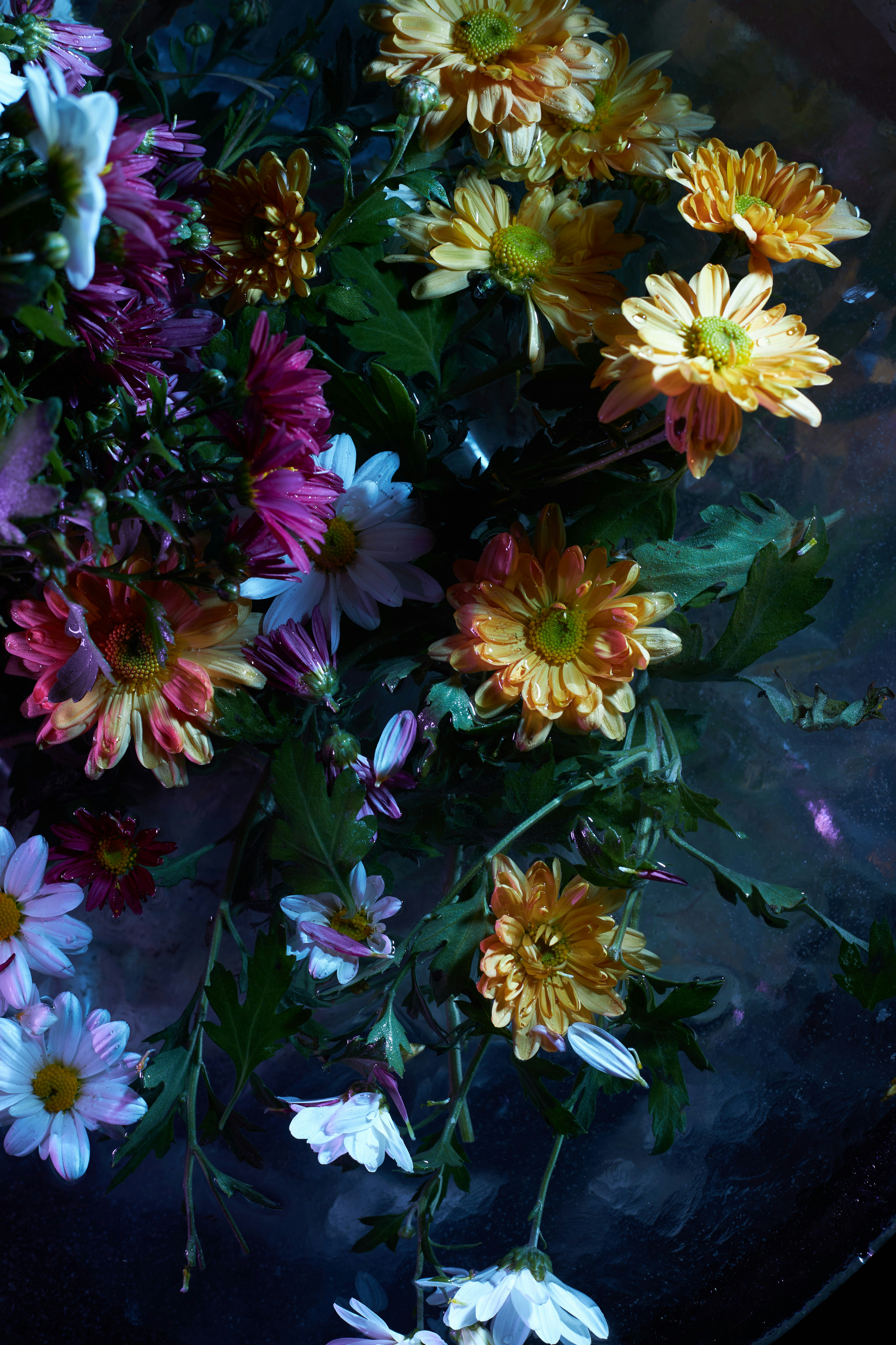 Photo by photo_zhulin